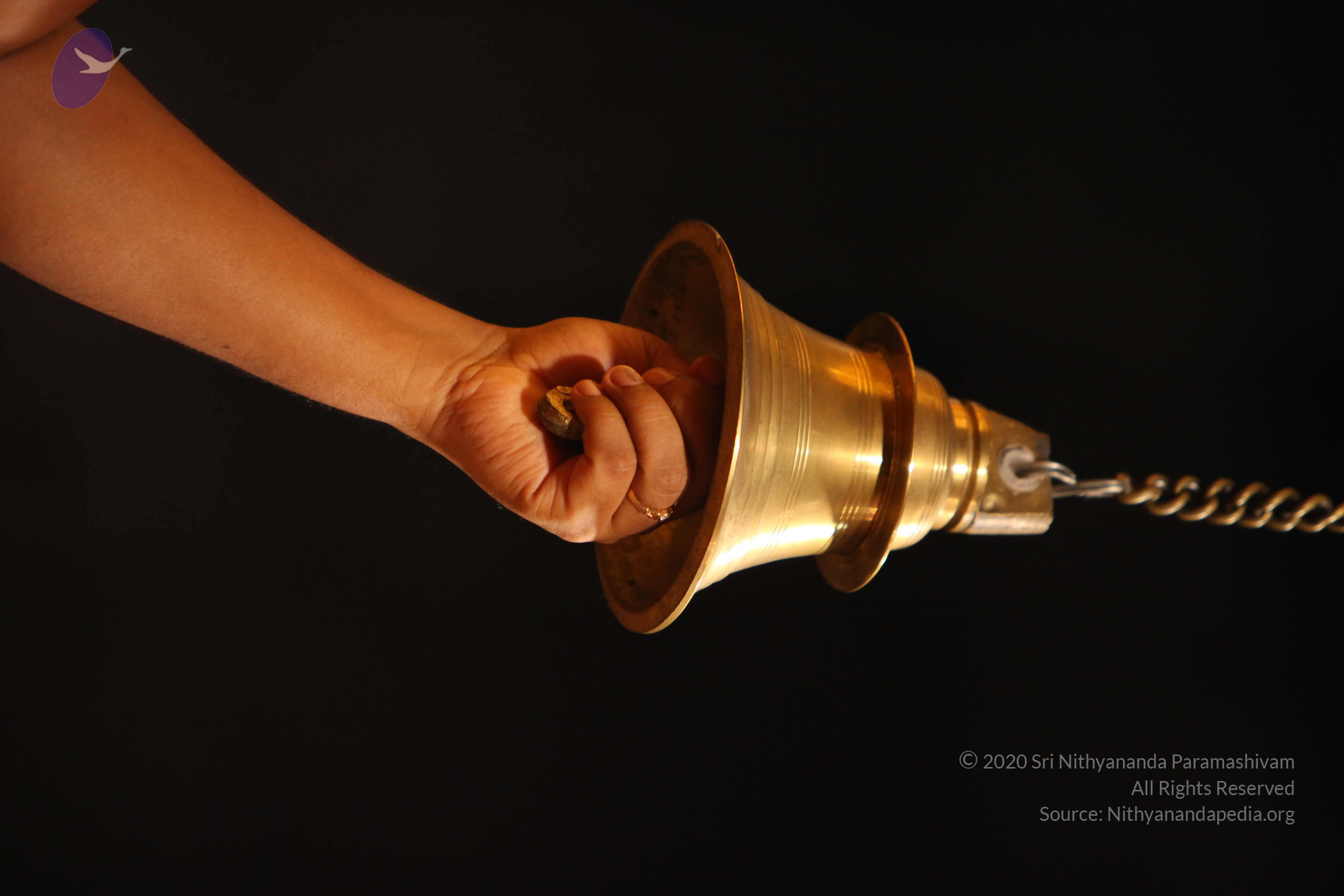 20130525_Photo_1007_IMG_0284_CMP_WM