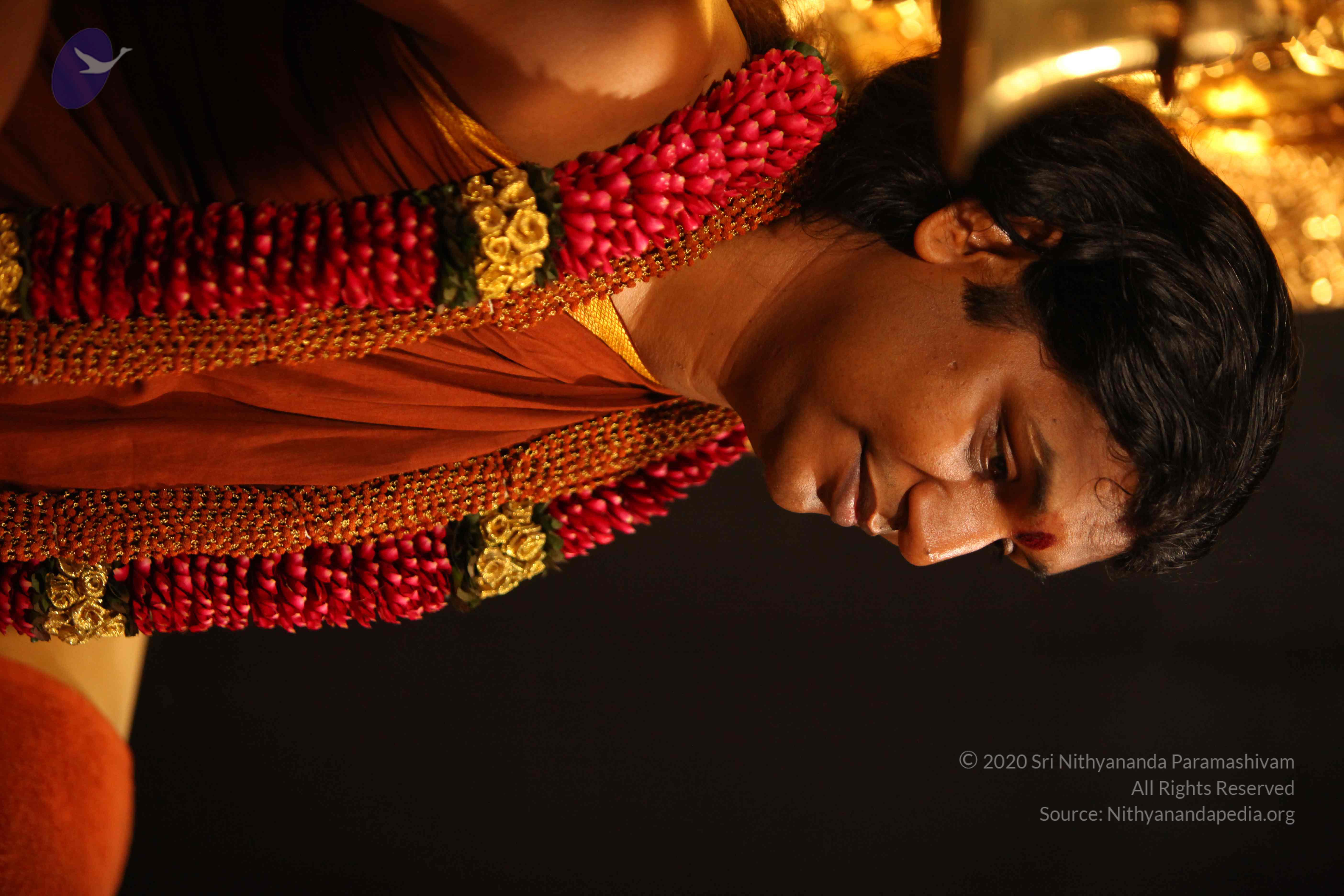 20130525_Photo_1008_IMG_0262_CMP_WM