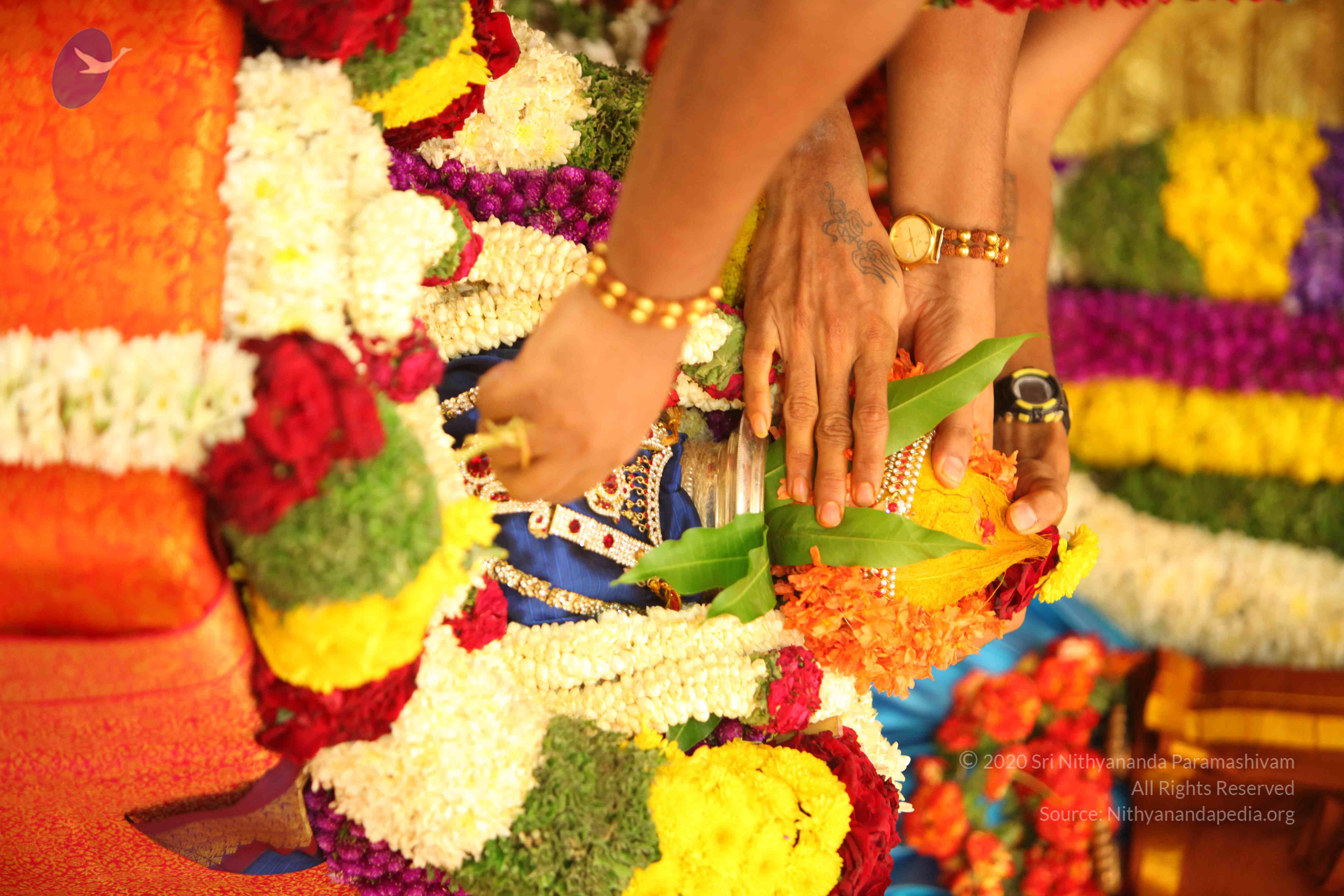 20130525_Photo_1038_IMG_9940_CMP_WM