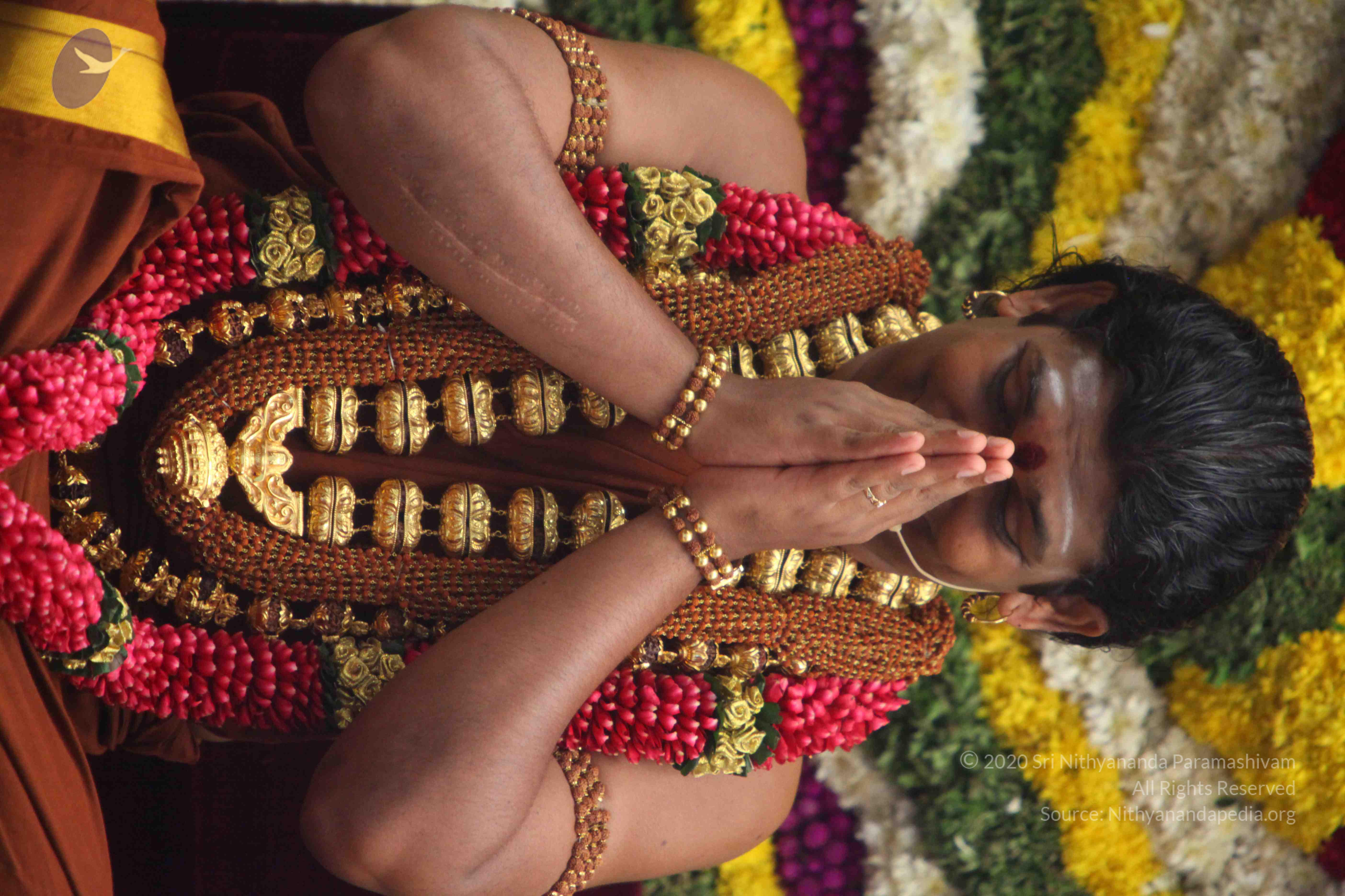 20130525_Photo_1015_IMG_9902_CMP_WM