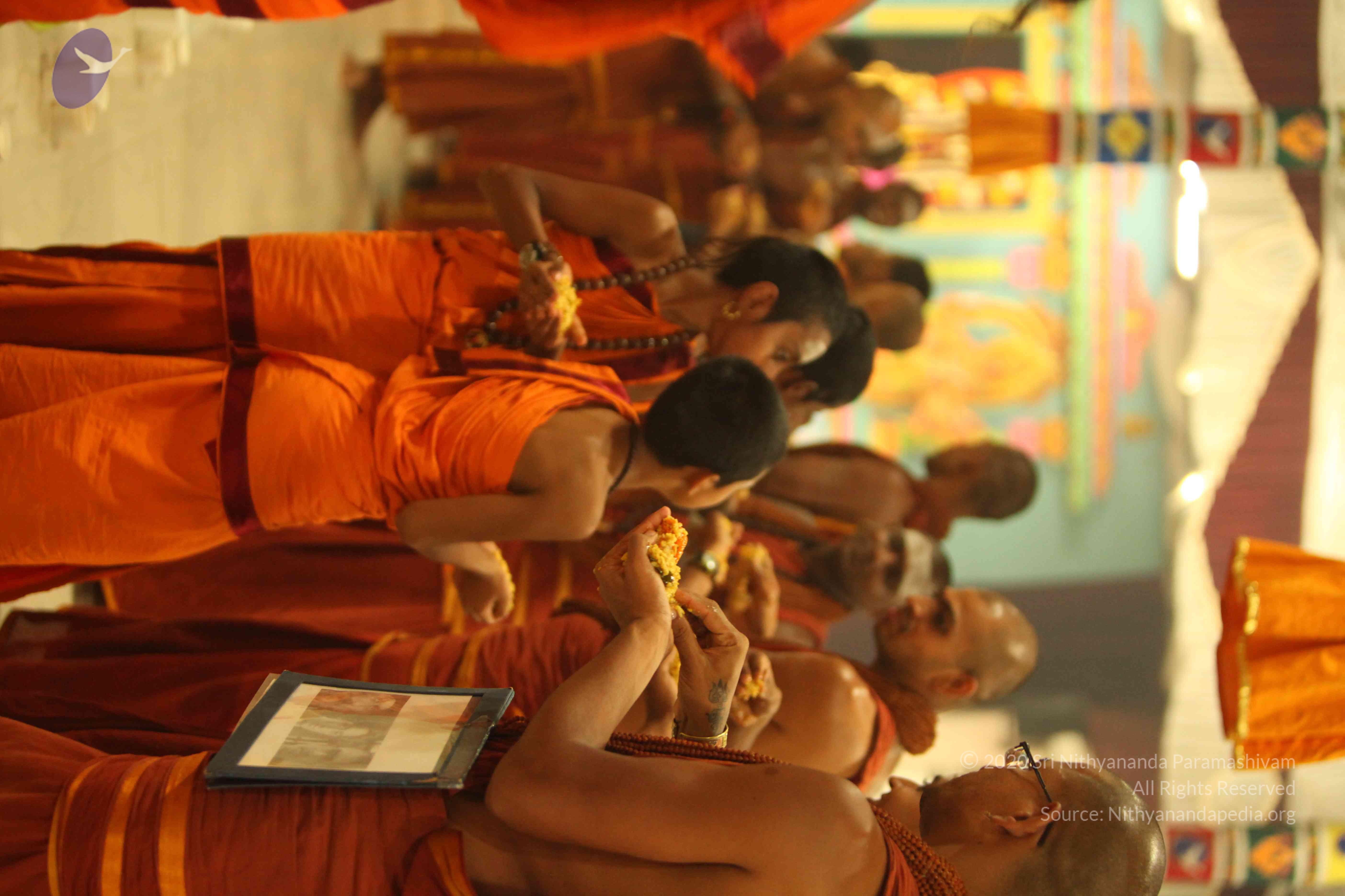 20130525_Photo_1010_IMG_0471_CMP_WM