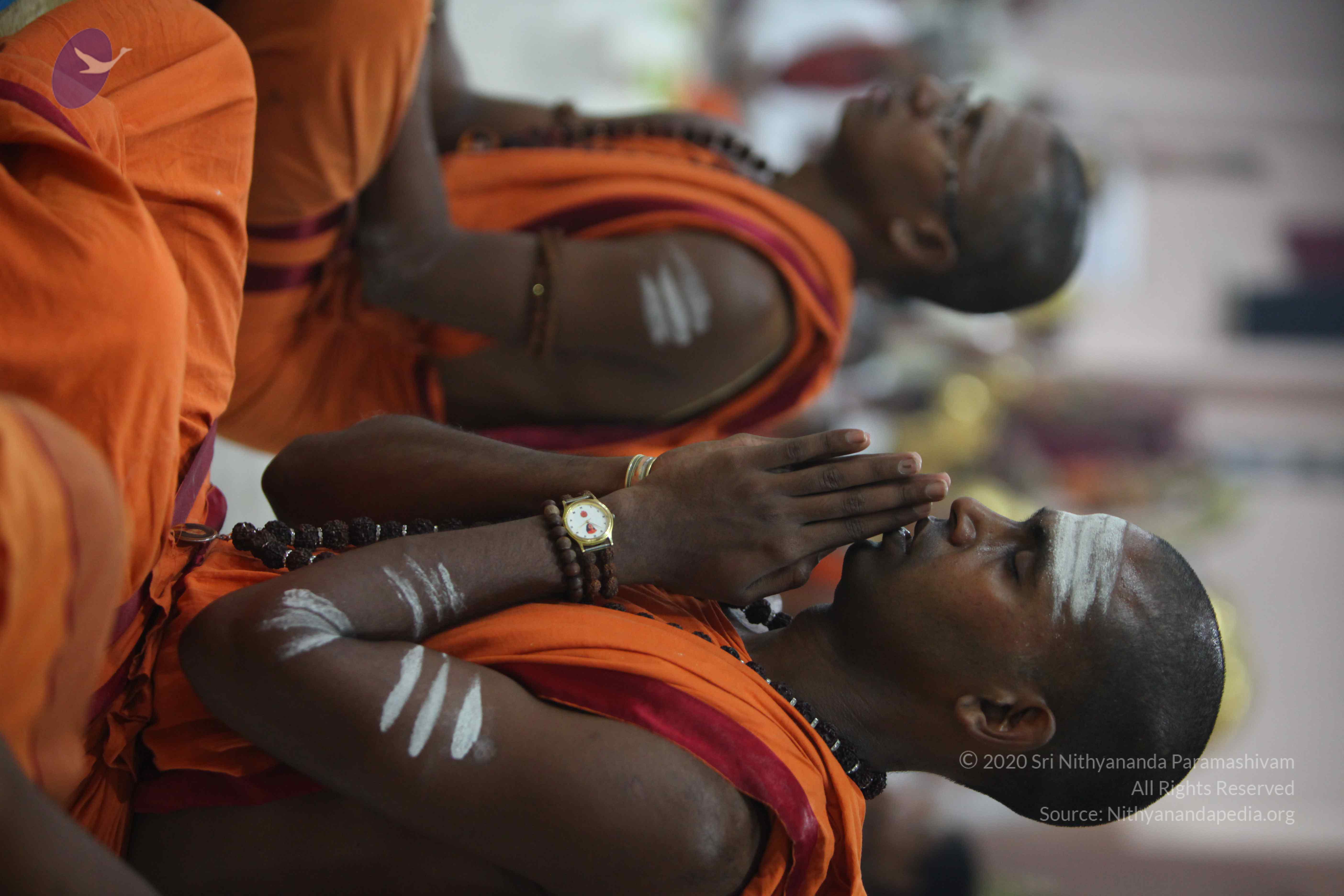 20130525_Photo_1016_IMG_0416_CMP_WM