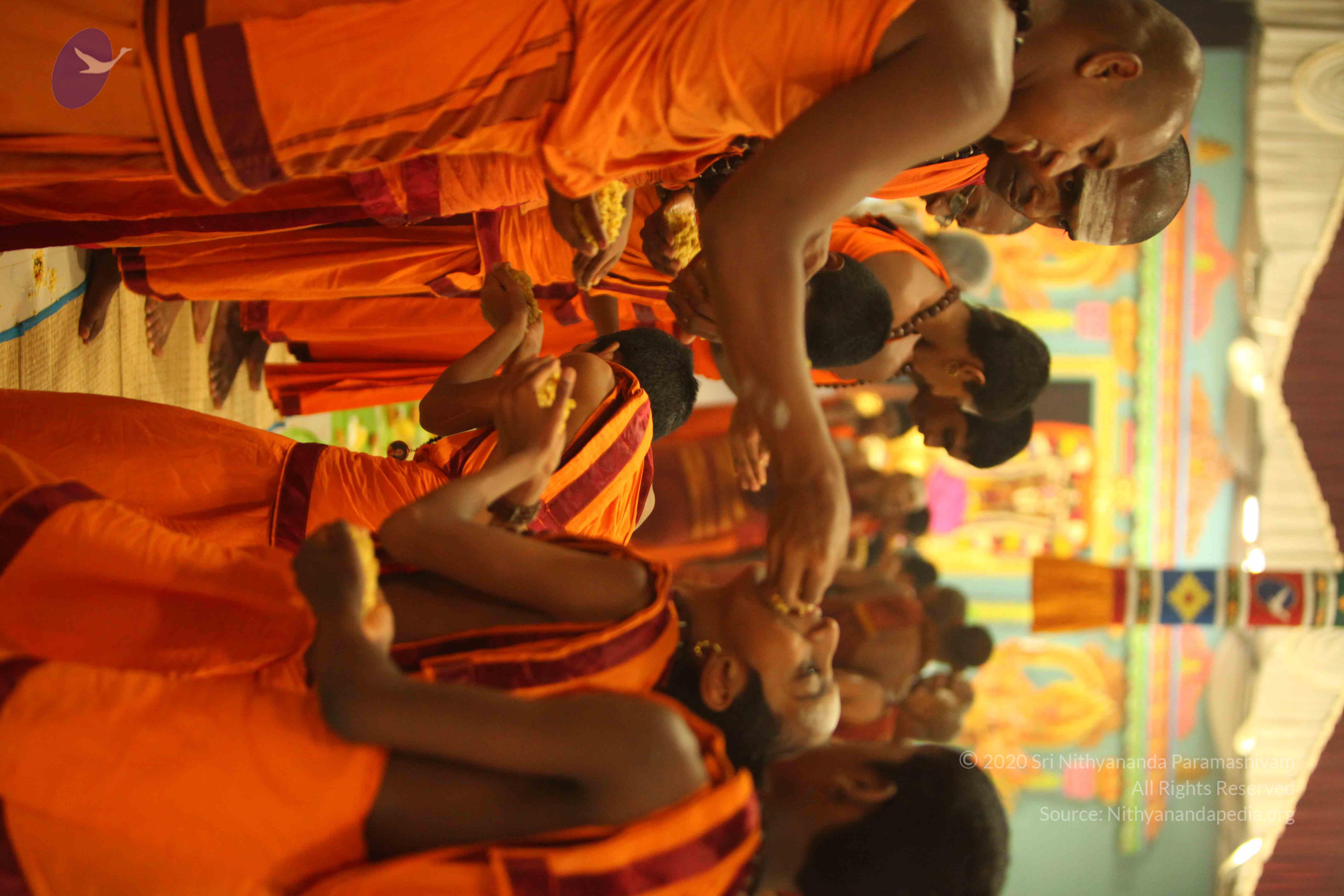 20130525_Photo_1023_IMG_0479_CMP_WM