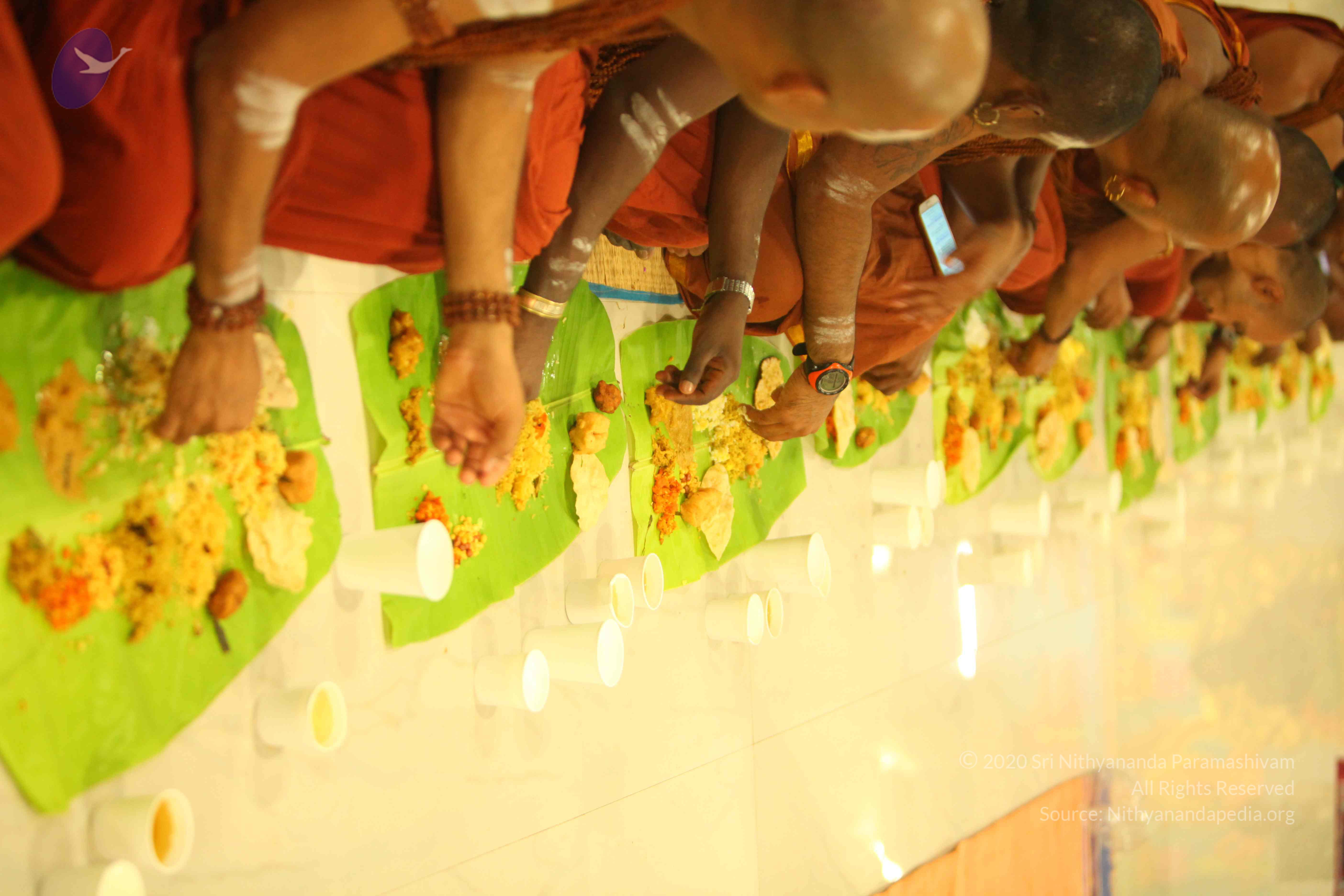 20130525_Photo_1031_IMG_0523_CMP_WM