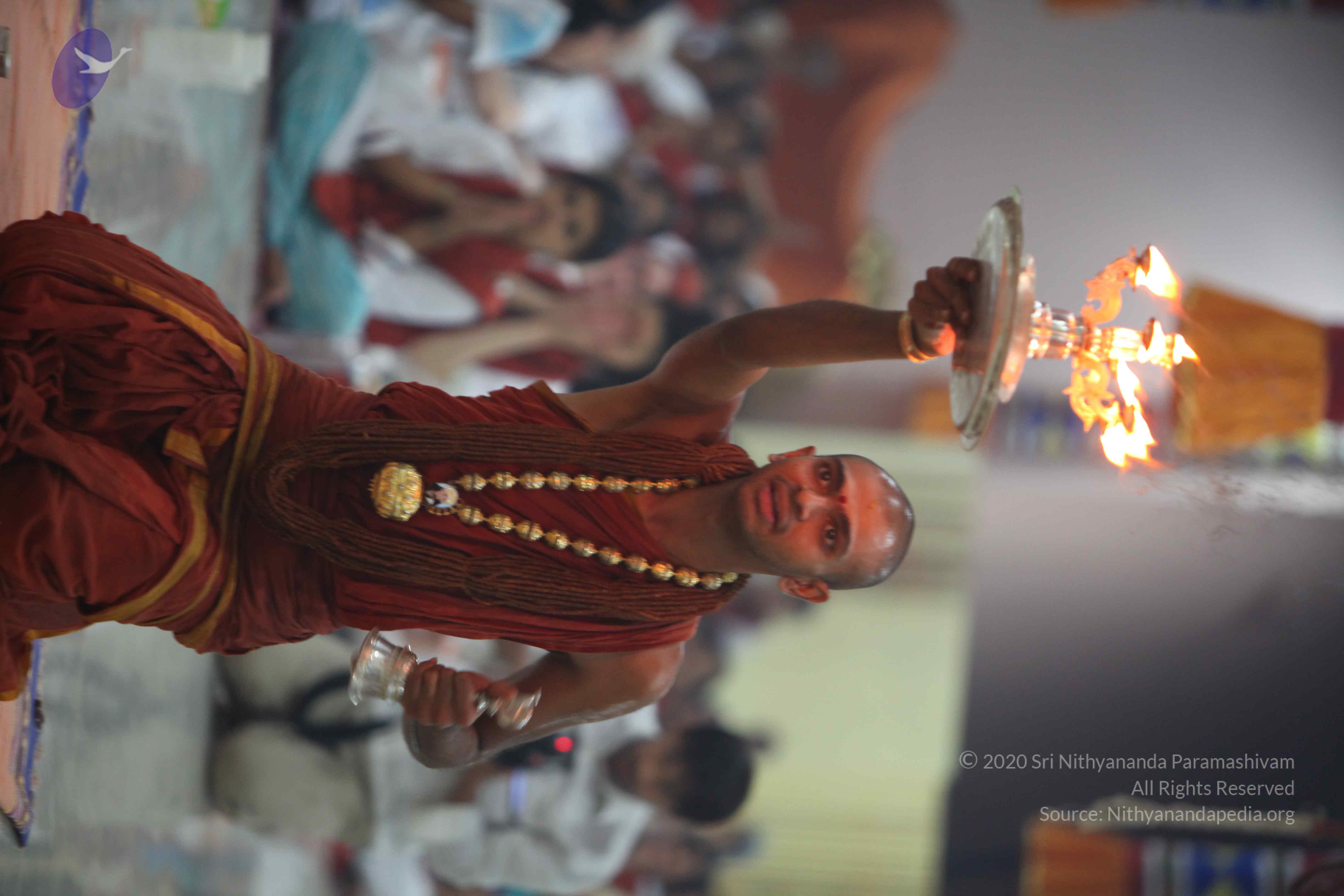 20130525_Photo_1033_IMG_0426_CMP_WM