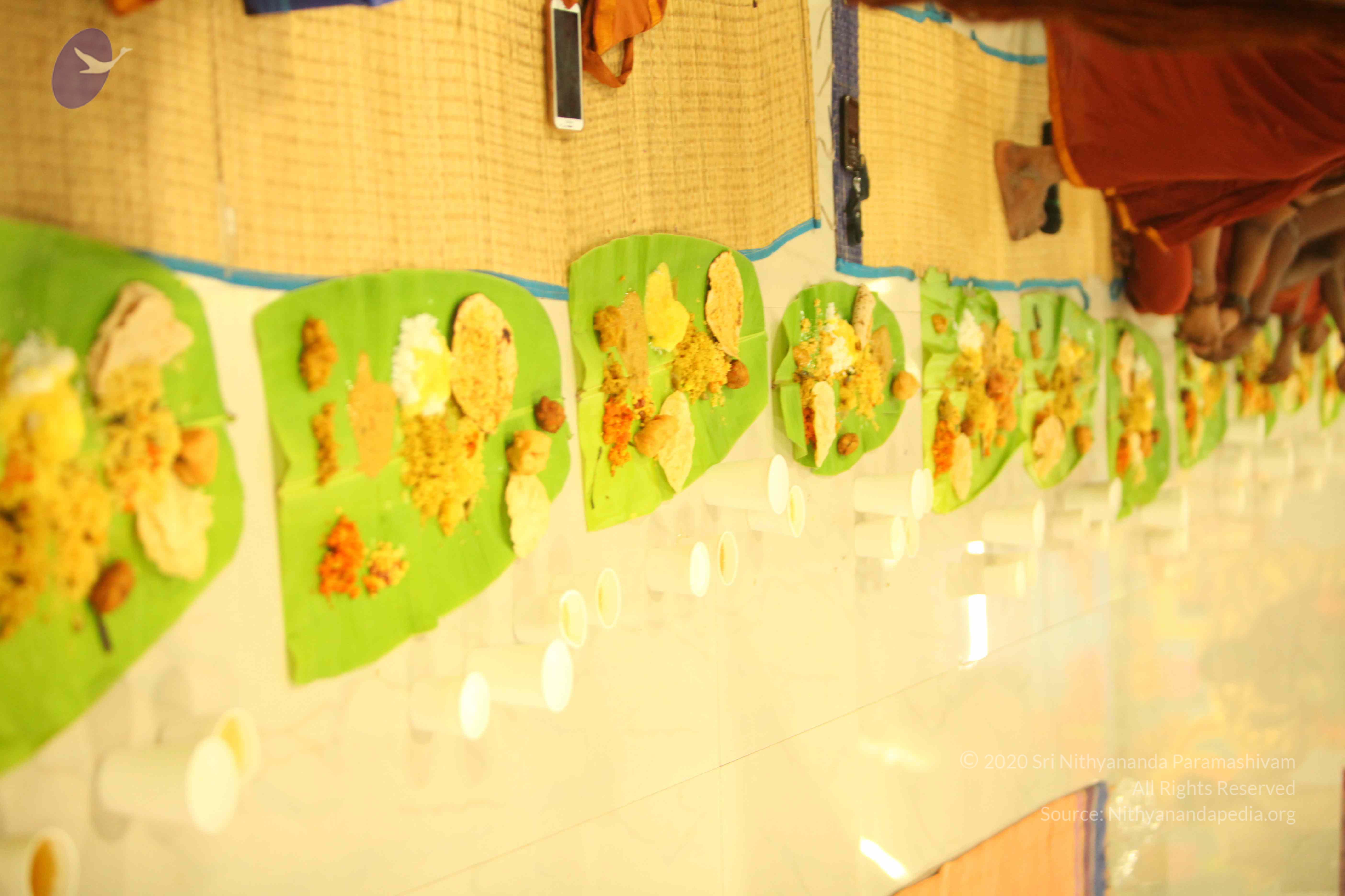 20130525_Photo_1069_IMG_0506_CMP_WM