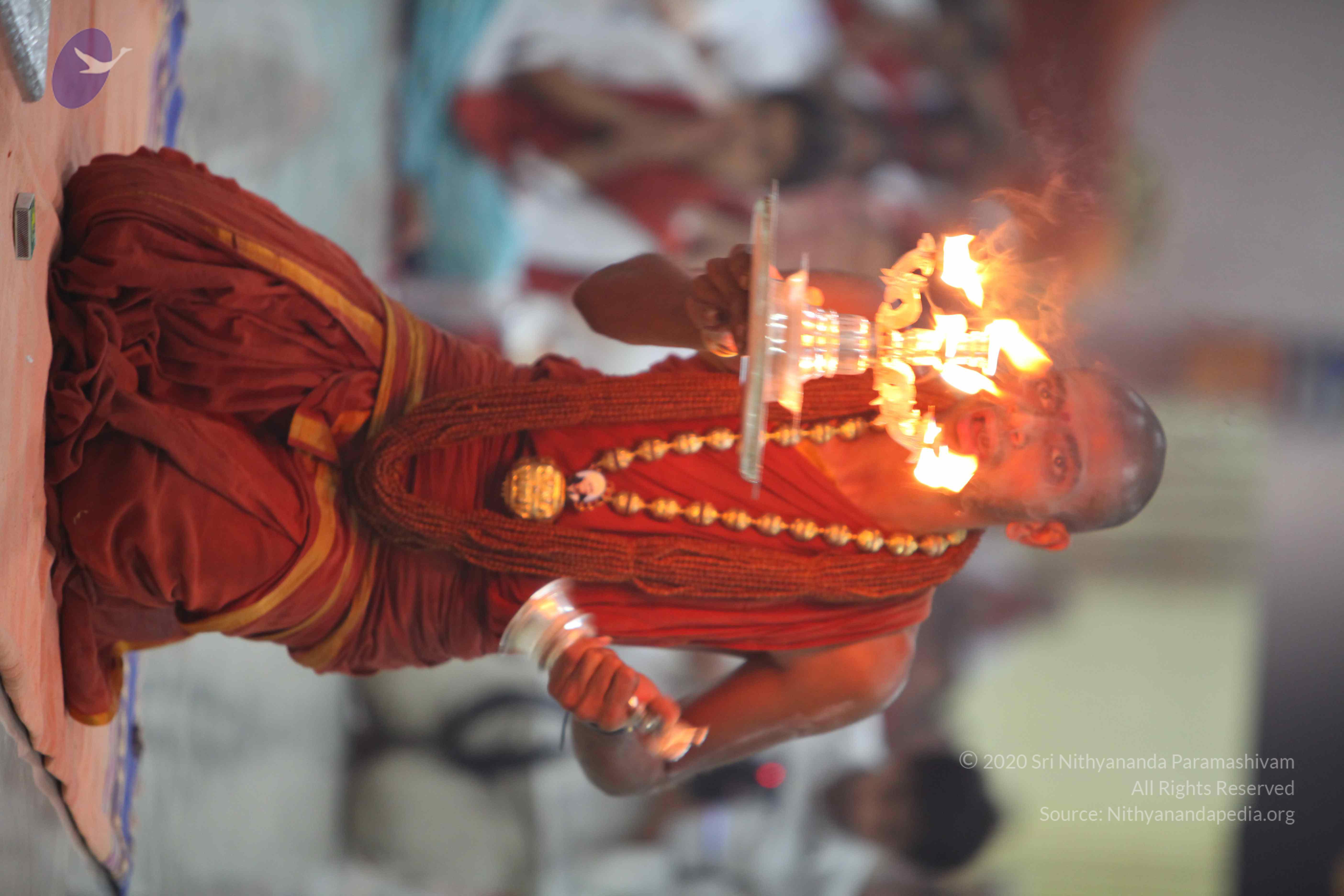 20130525_Photo_1070_IMG_0425_CMP_WM