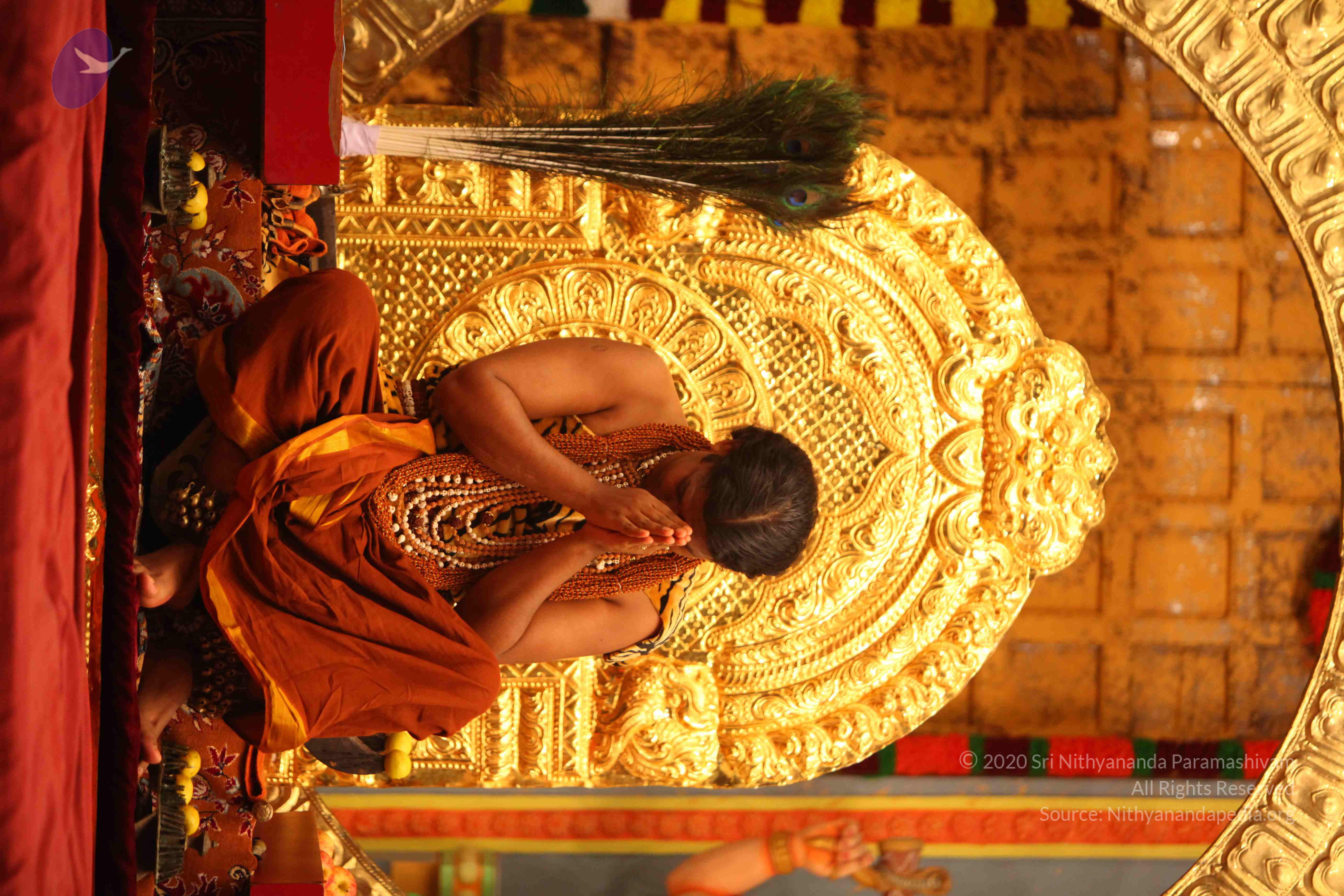 20130525_Photo_1024_IMG_0399_CMP_WM