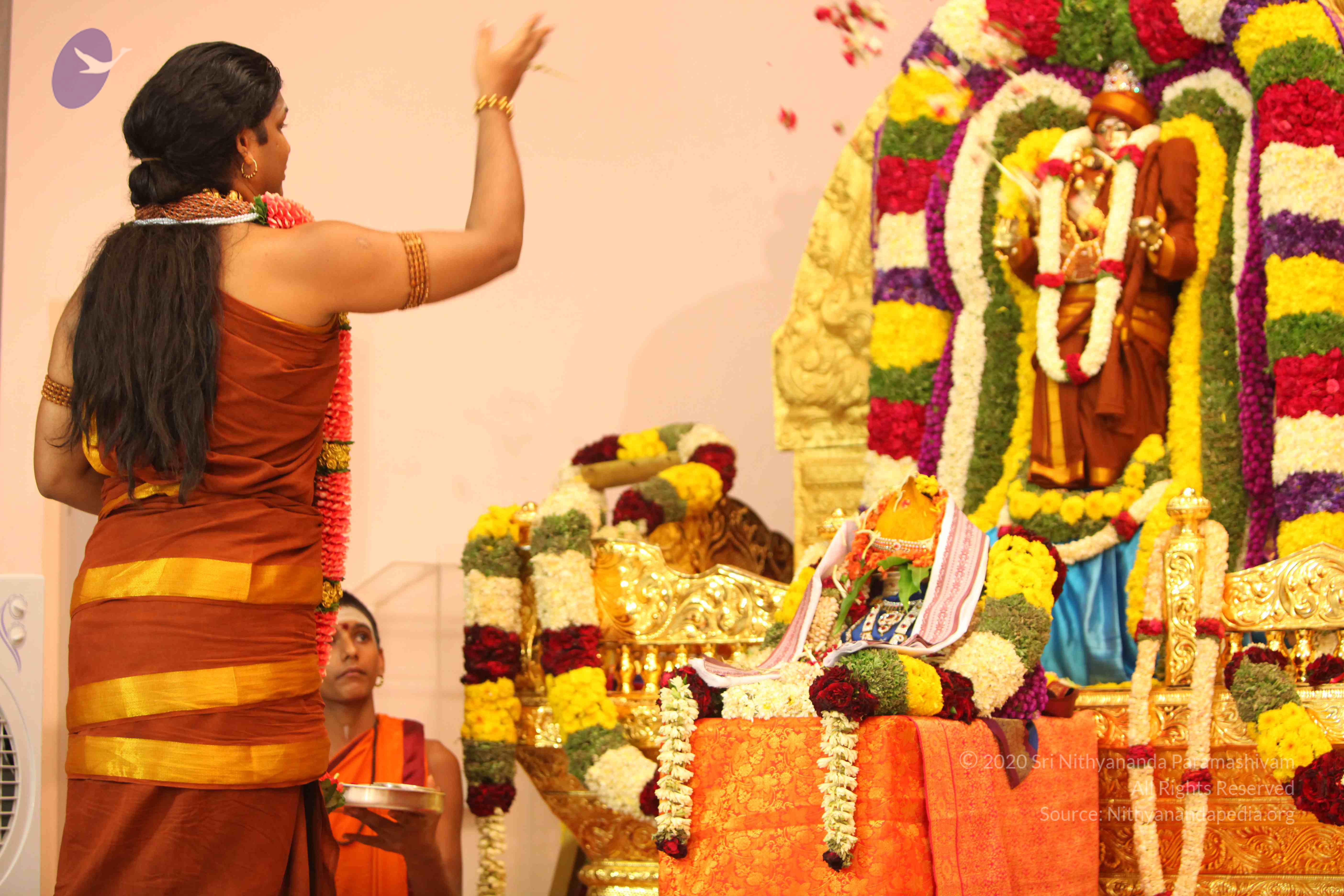 20130526_Photo_1001_1yL4QGk9x2upEQXdpP5KTLZ0Z6XrsUTFq