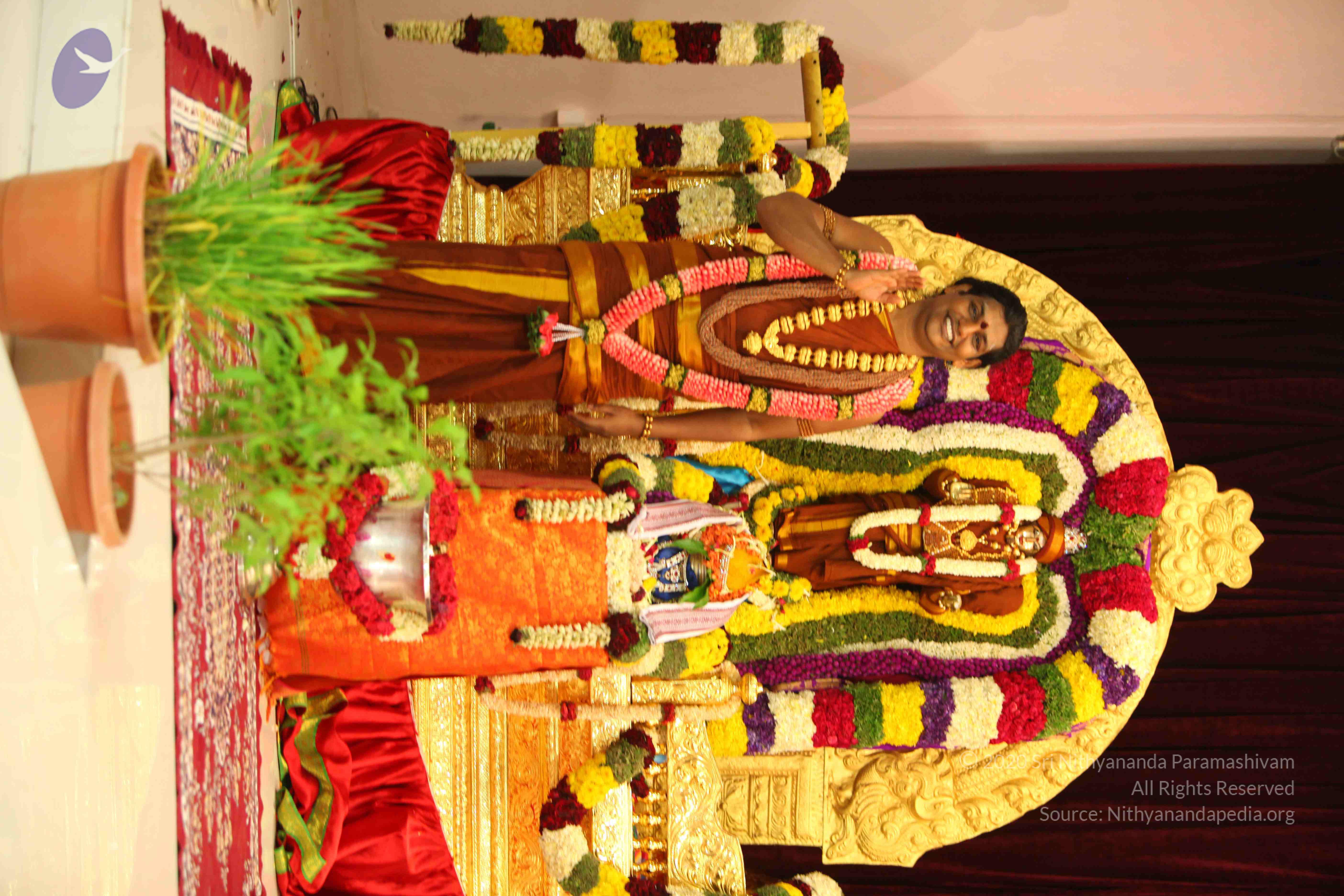 20130526_Photo_1002_12nFkLjJgZ7h4euwinbn77drag2-02WJx