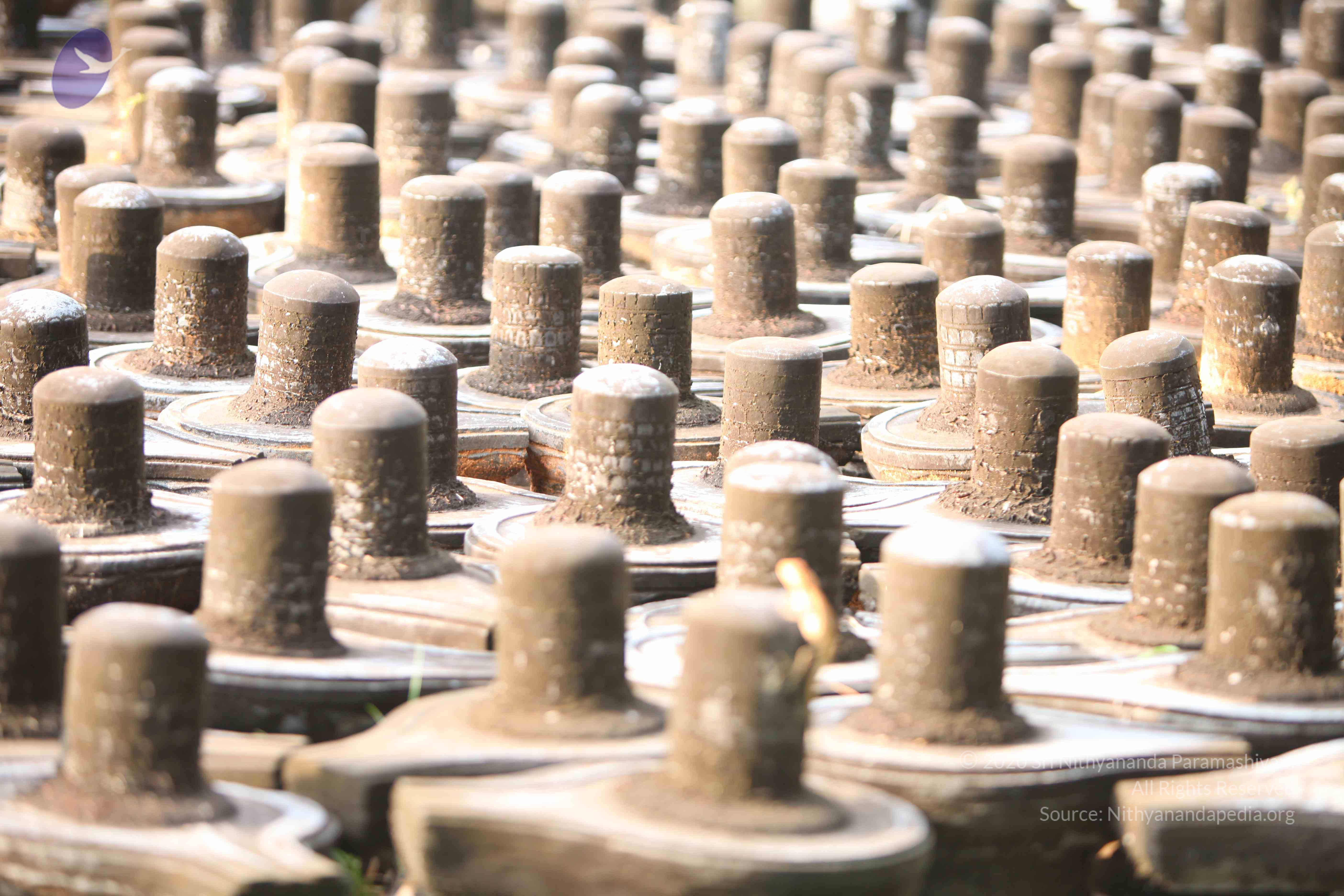 20130526_Photo_1004_1oWgjW3l82AFSPGn74giuHvwl8j2NjLcx