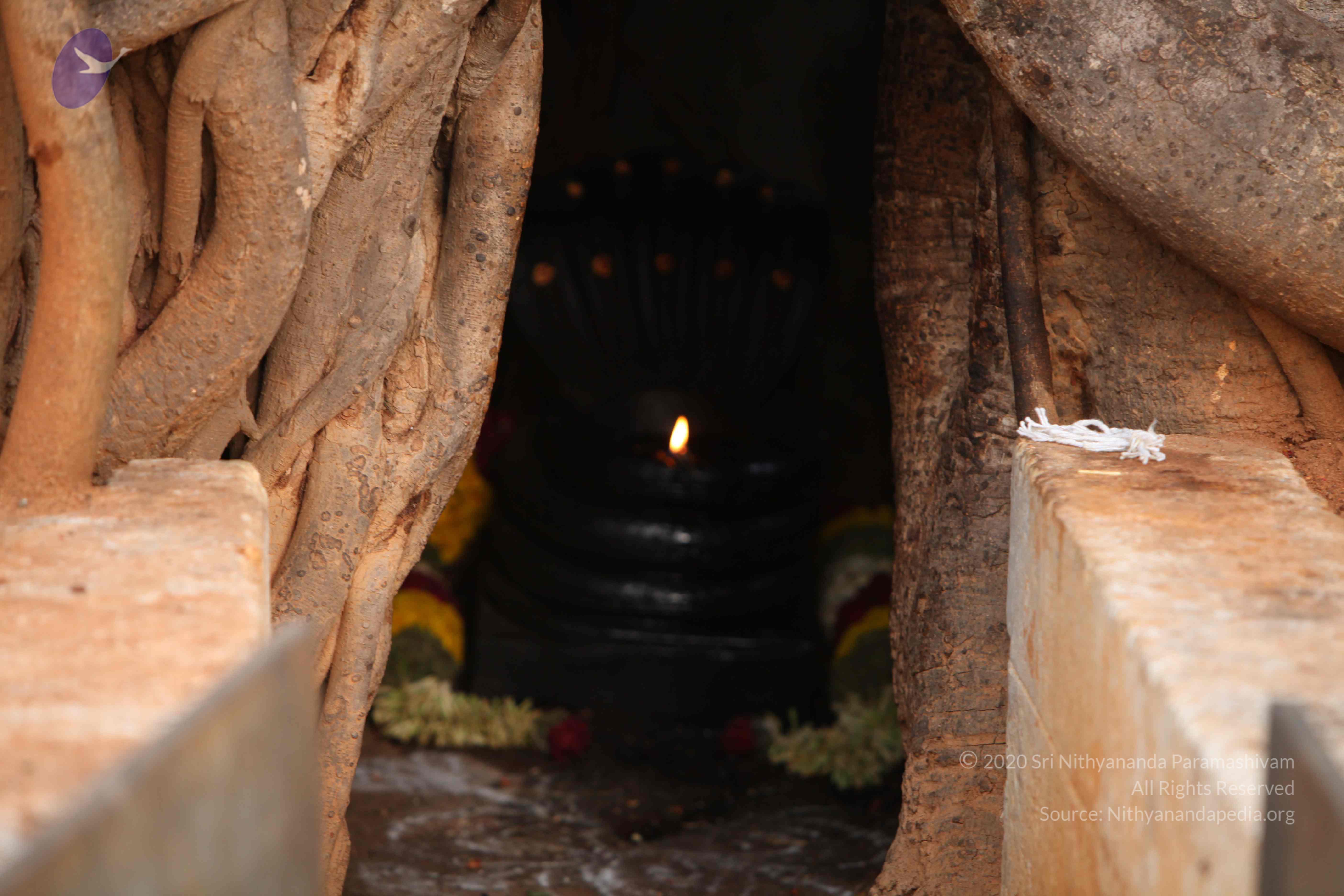 20130526_Photo_1011_1fJJ3ojUbEkaafZqJ5-8qQ4LVD7PB1pCH