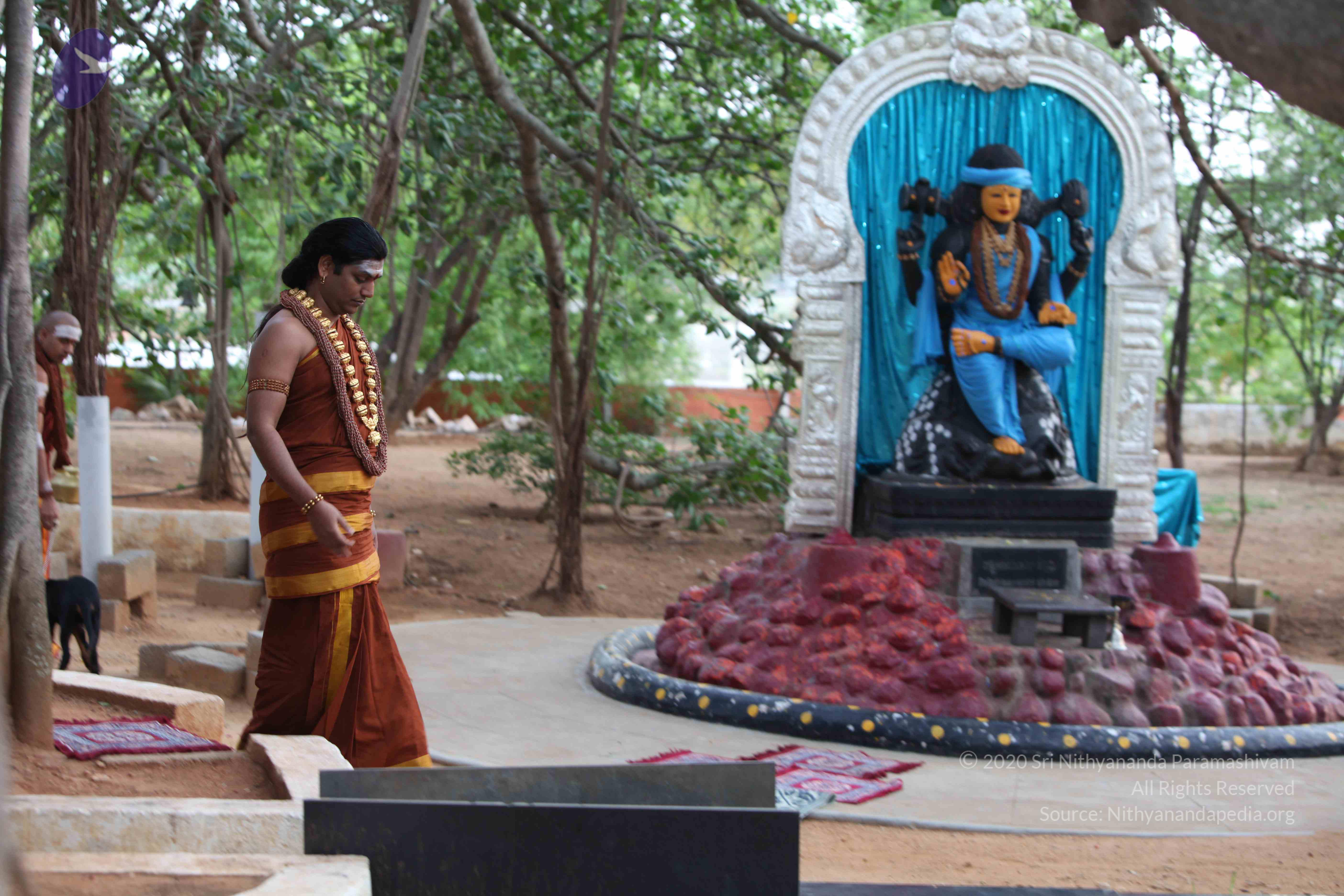 20130526_Photo_1016_1pGfUV64PyKfpCifok078xg6QsZ_dpb02