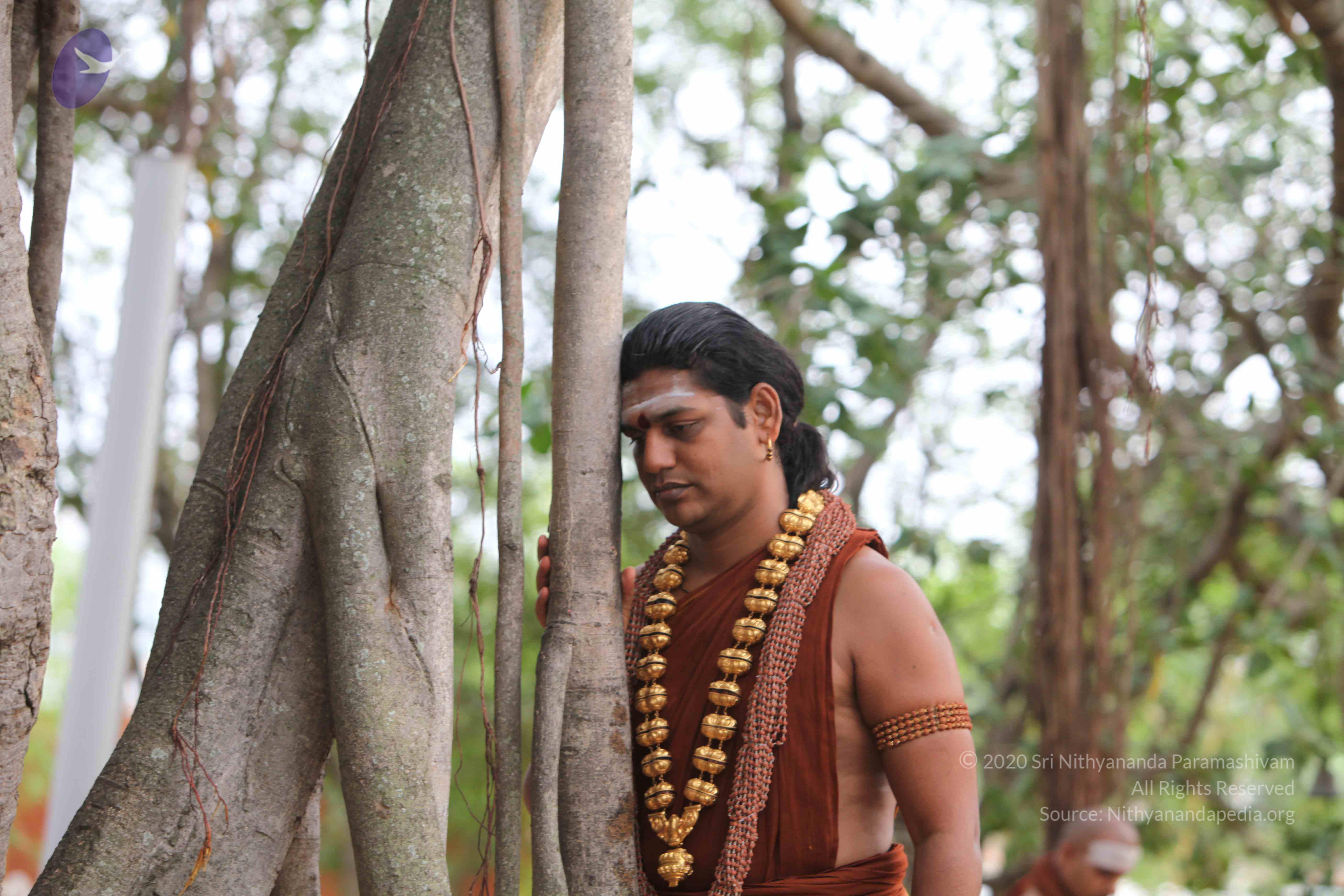 20130526_Photo_1017_19Kd6nK37J0AdfTED_60nRTldGU4g7QDX