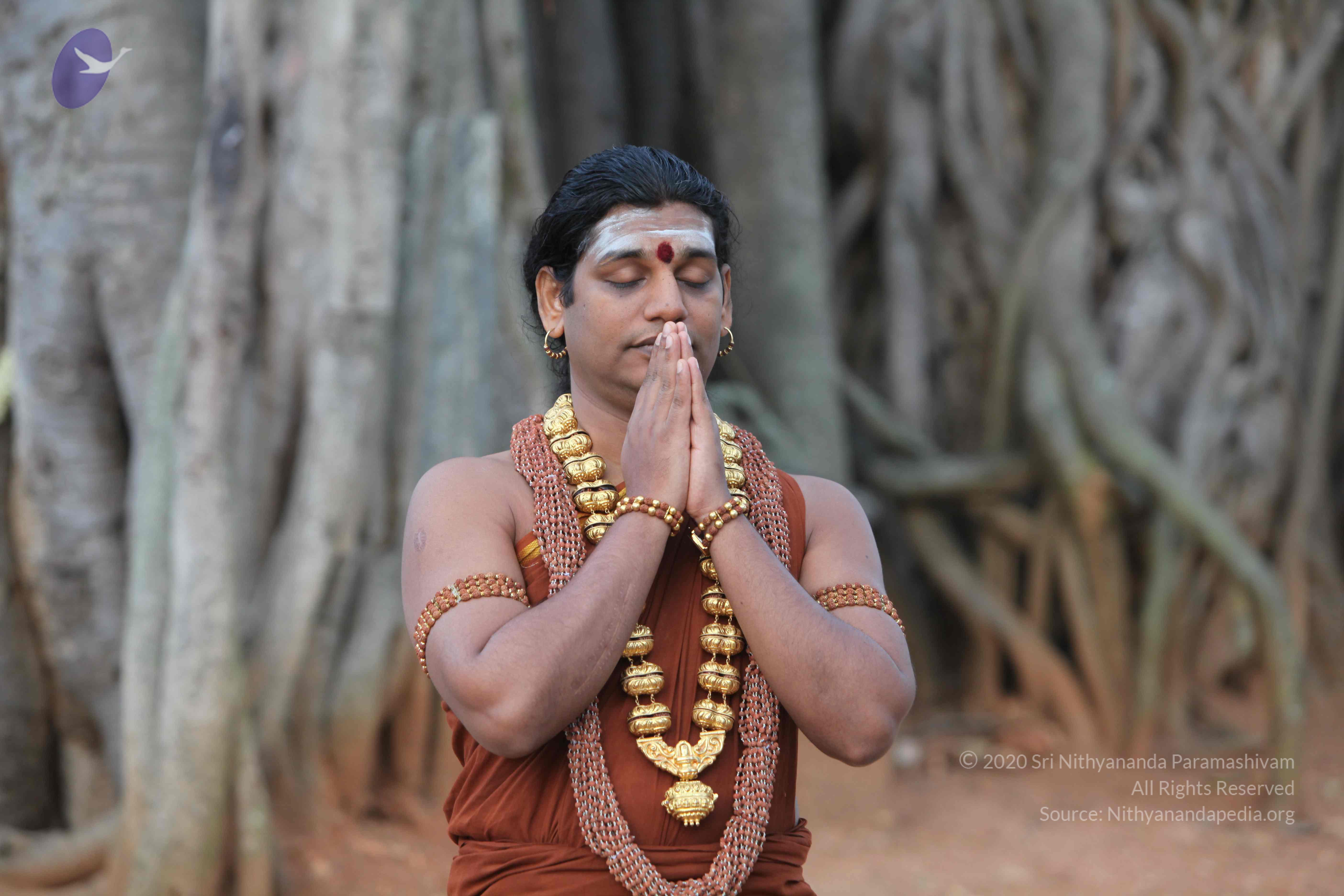 20130526_Photo_1019_1FmeJjokwjzaklBEIdfySjwrhU55rBdq7