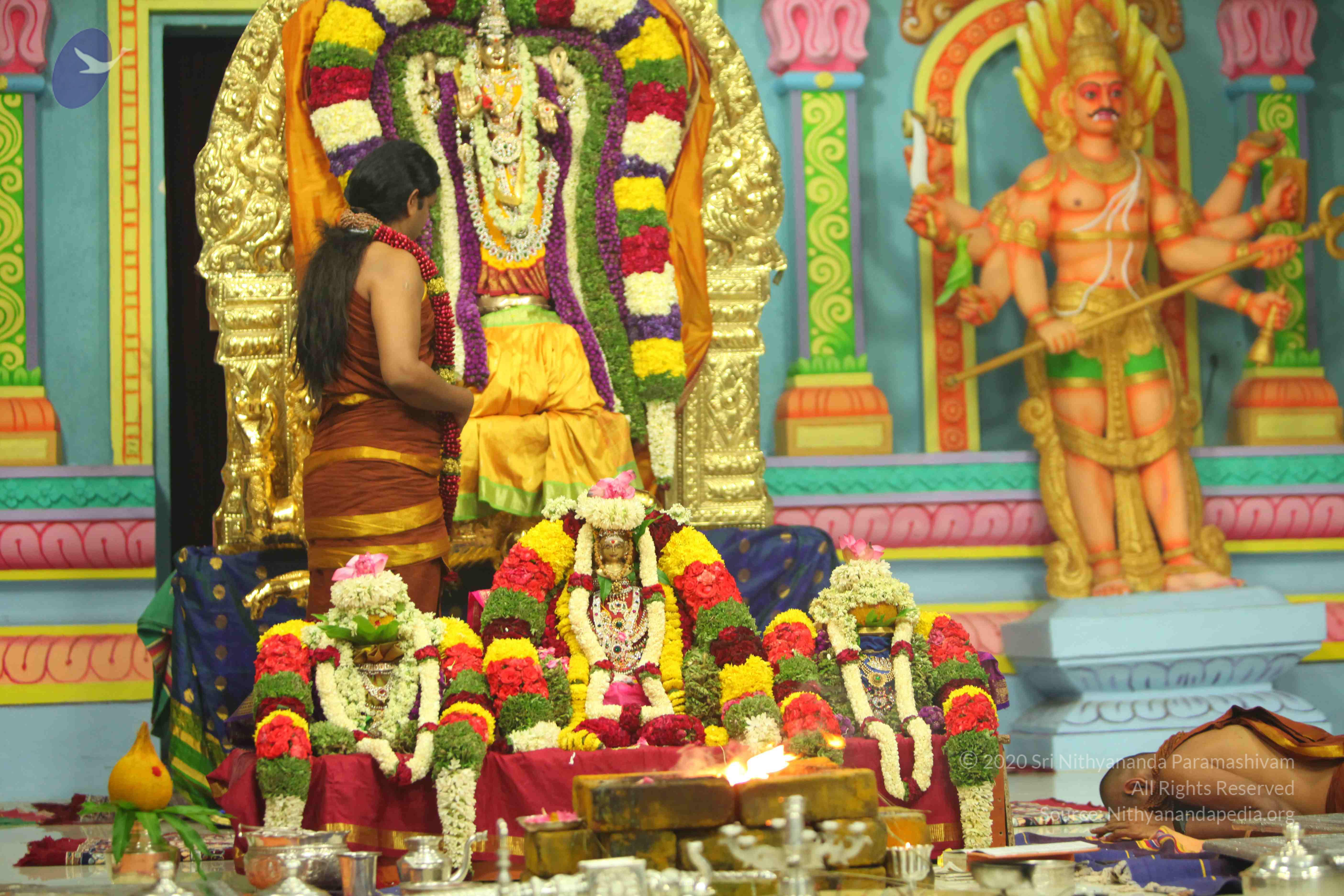 20130526_Photo_1001_1-SakxLEL3F4RFTQ6HbFR9OZZlwSkeoMQ