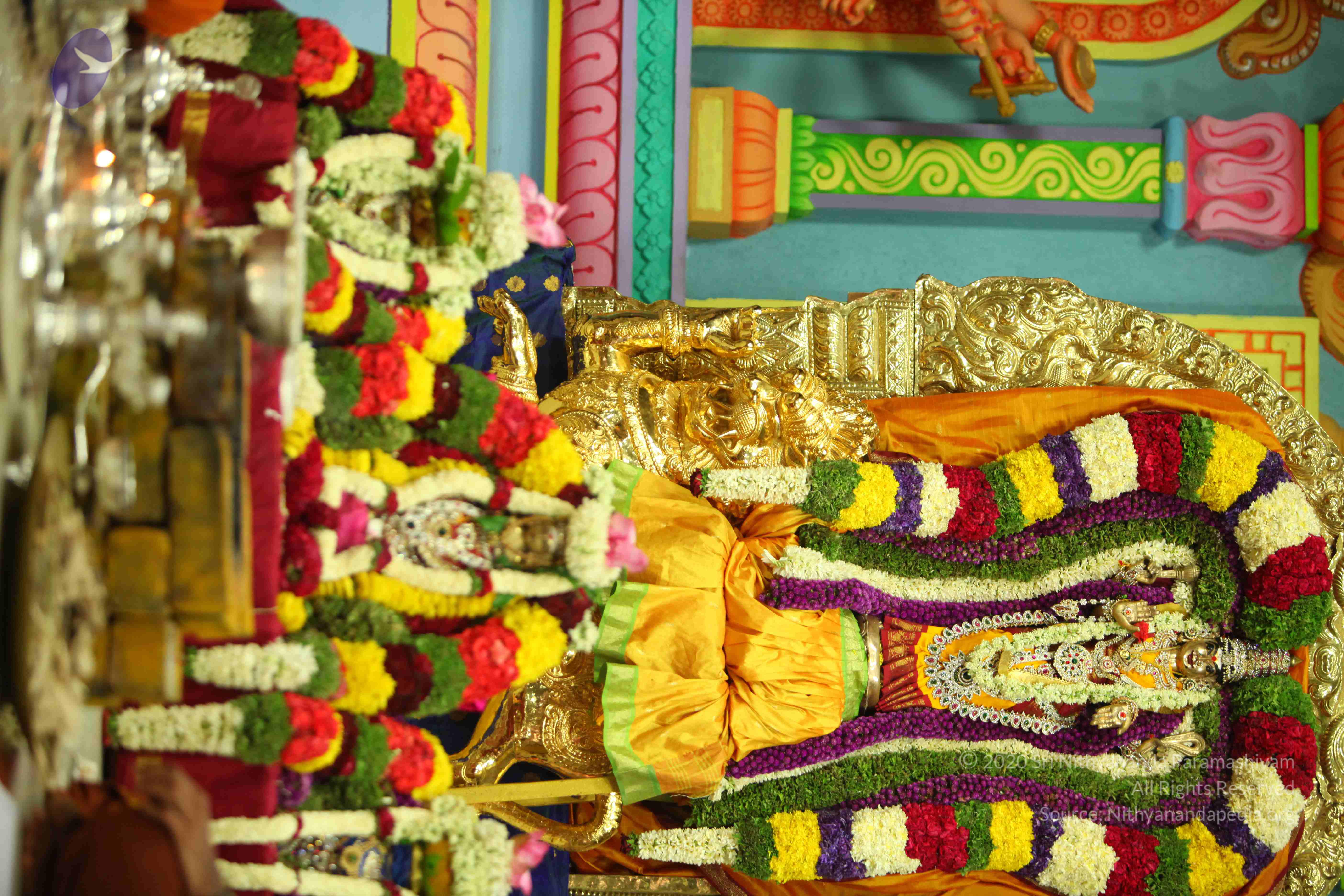 20130526_Photo_1002_14umNI3znXdqOifTpPweFHH1-J60ej2Dp