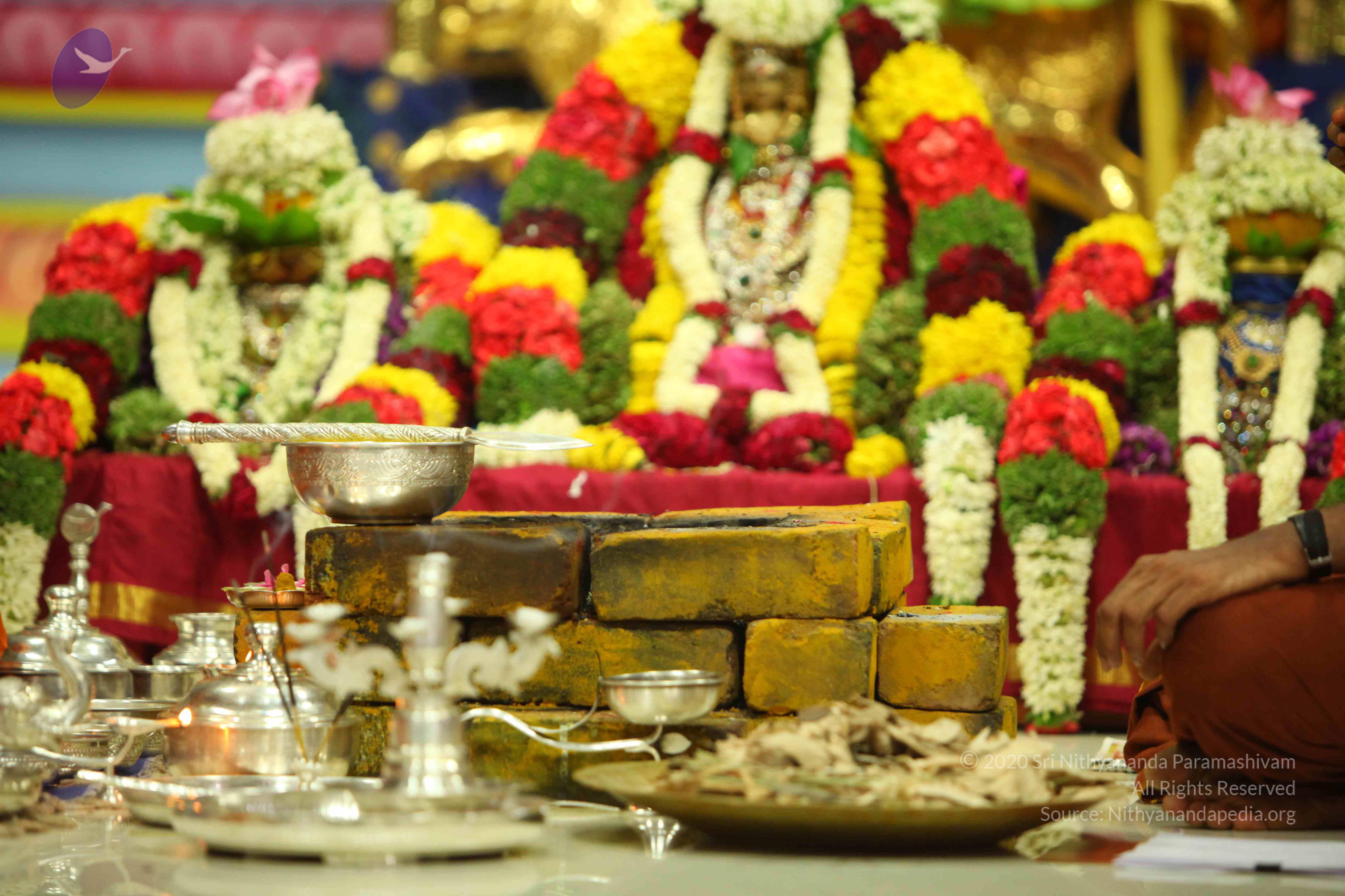 20130526_Photo_1002_190_BlxkzYh1Fsq0G6sr-vZNShIm_MCqu