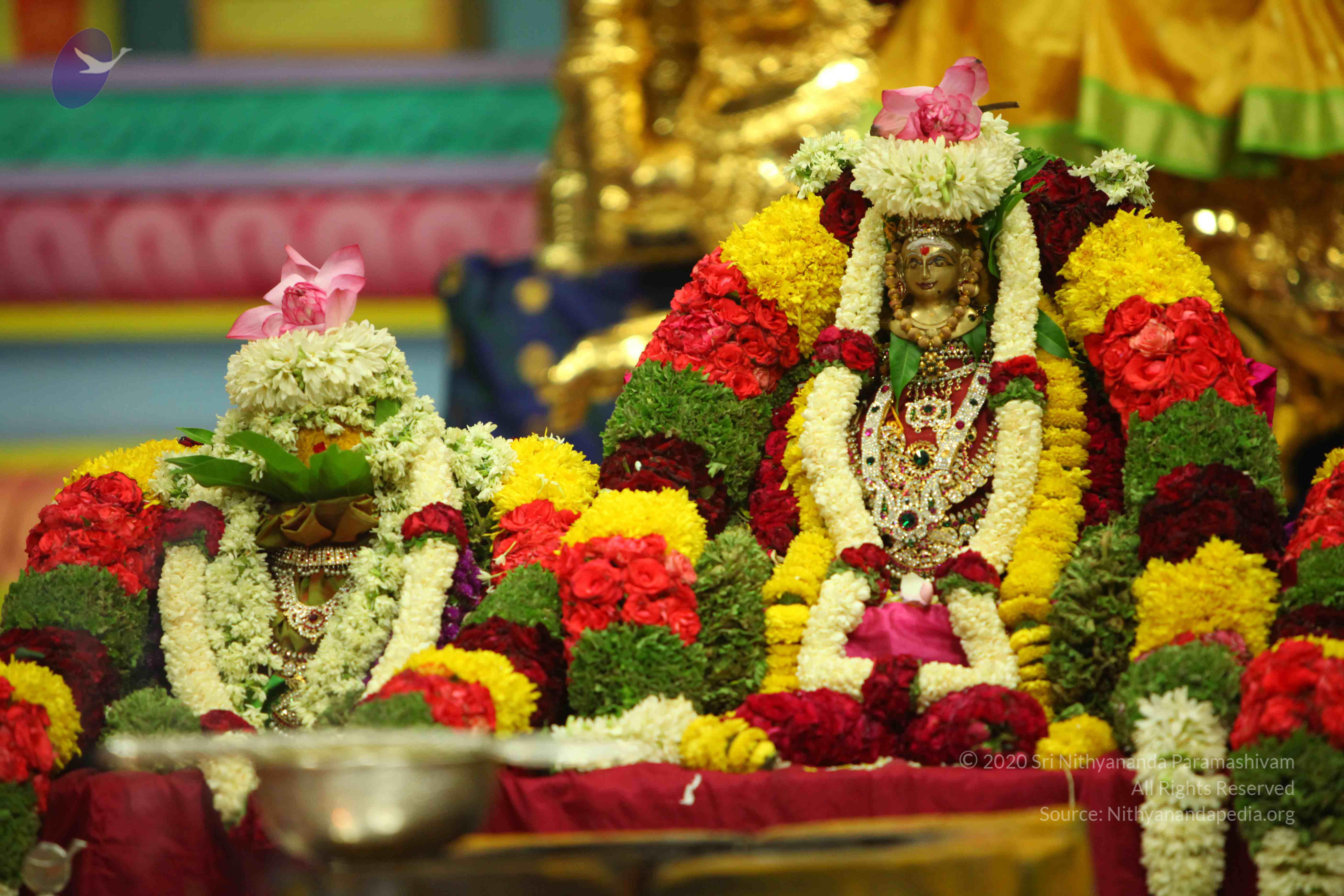 20130526_Photo_1003_1T8uCWSLPEfFnGJB4ZDvV-A5PF40PjXYr