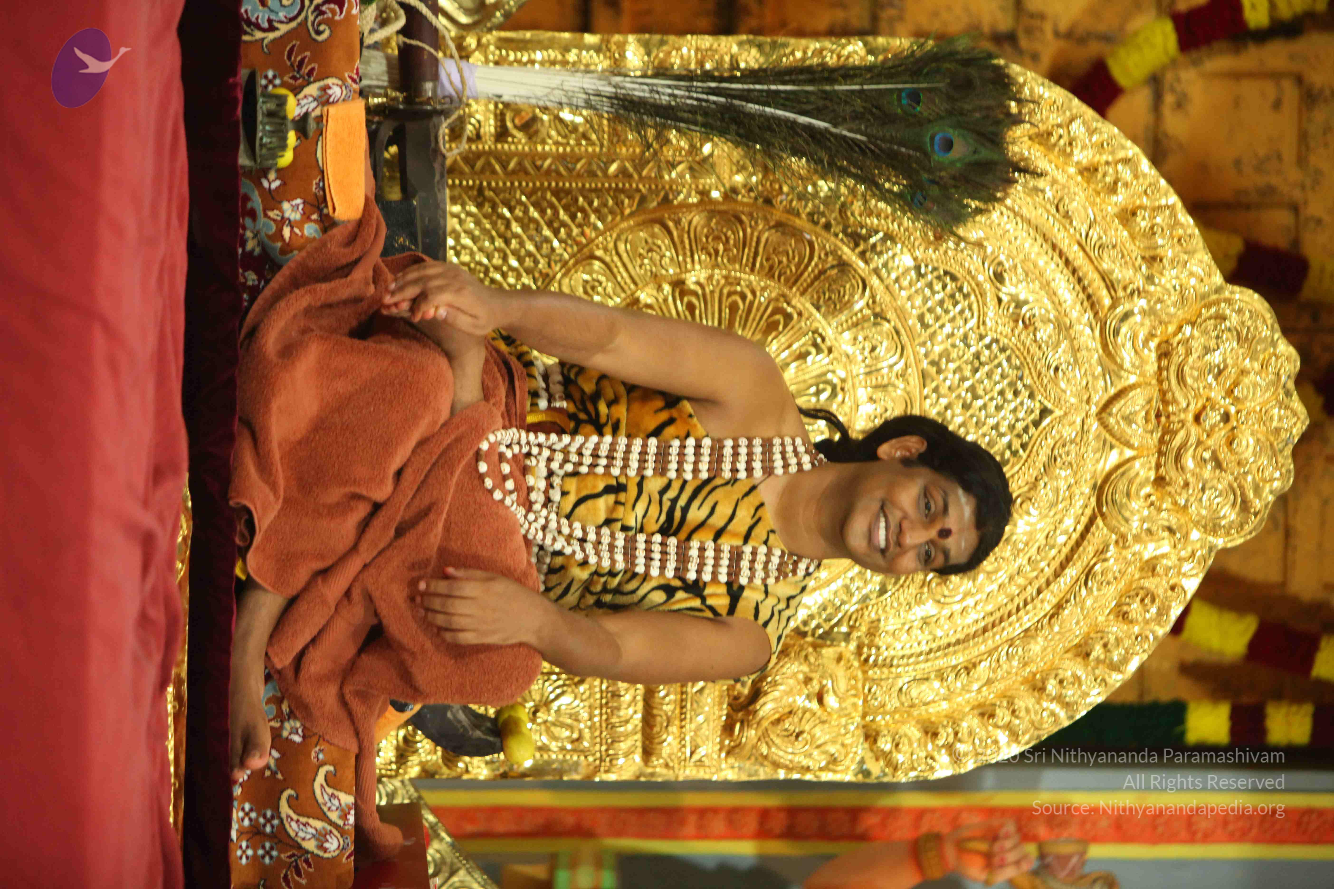 20130526_Photo_1011_1xcSxvOF3cuv8U_ib_-L-uRibSjCcSMrQ