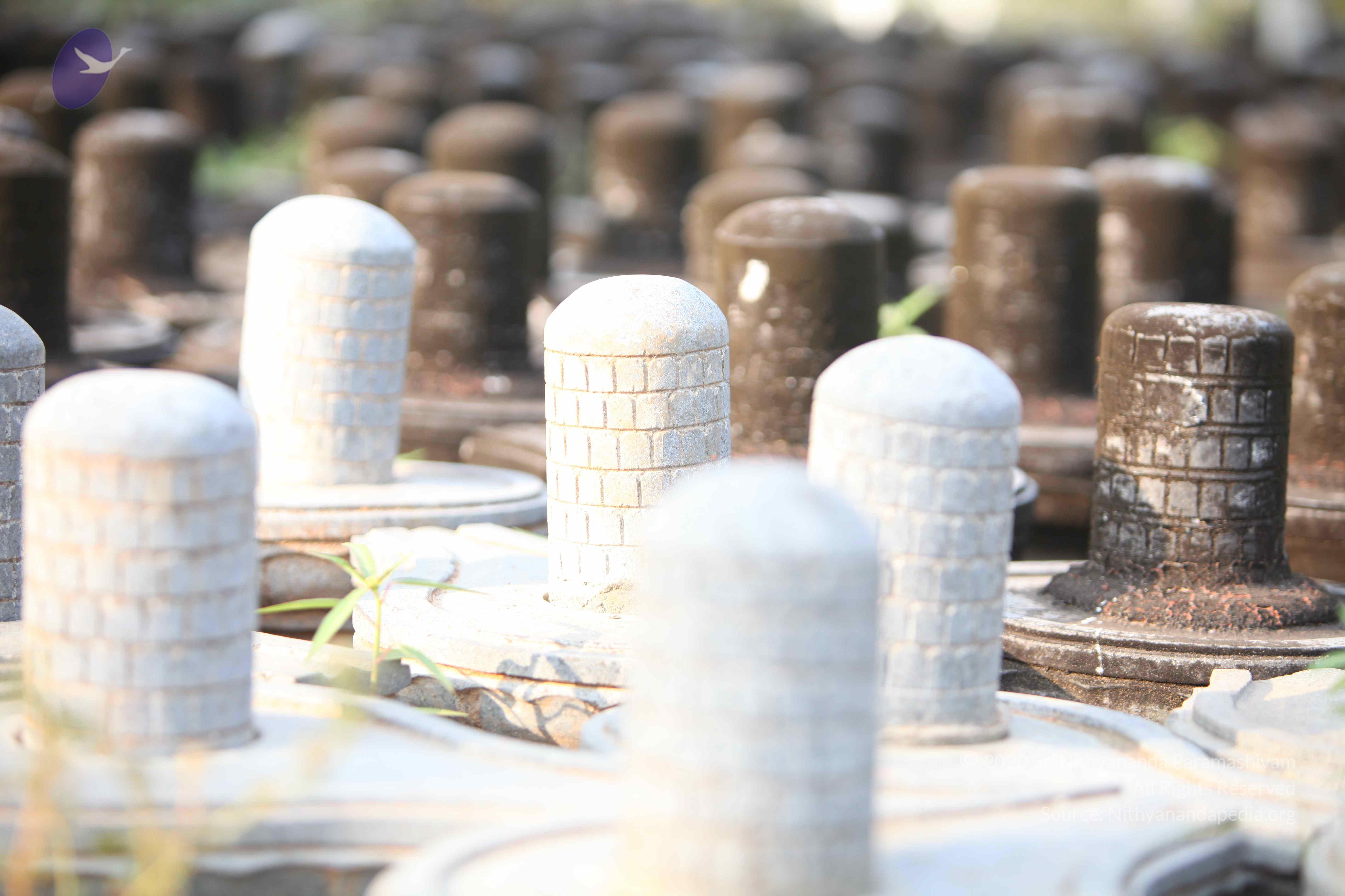 20130526_Photo_1001_1l1qq7KokGOFxEVrZiRjzwW0ERC5GPikA