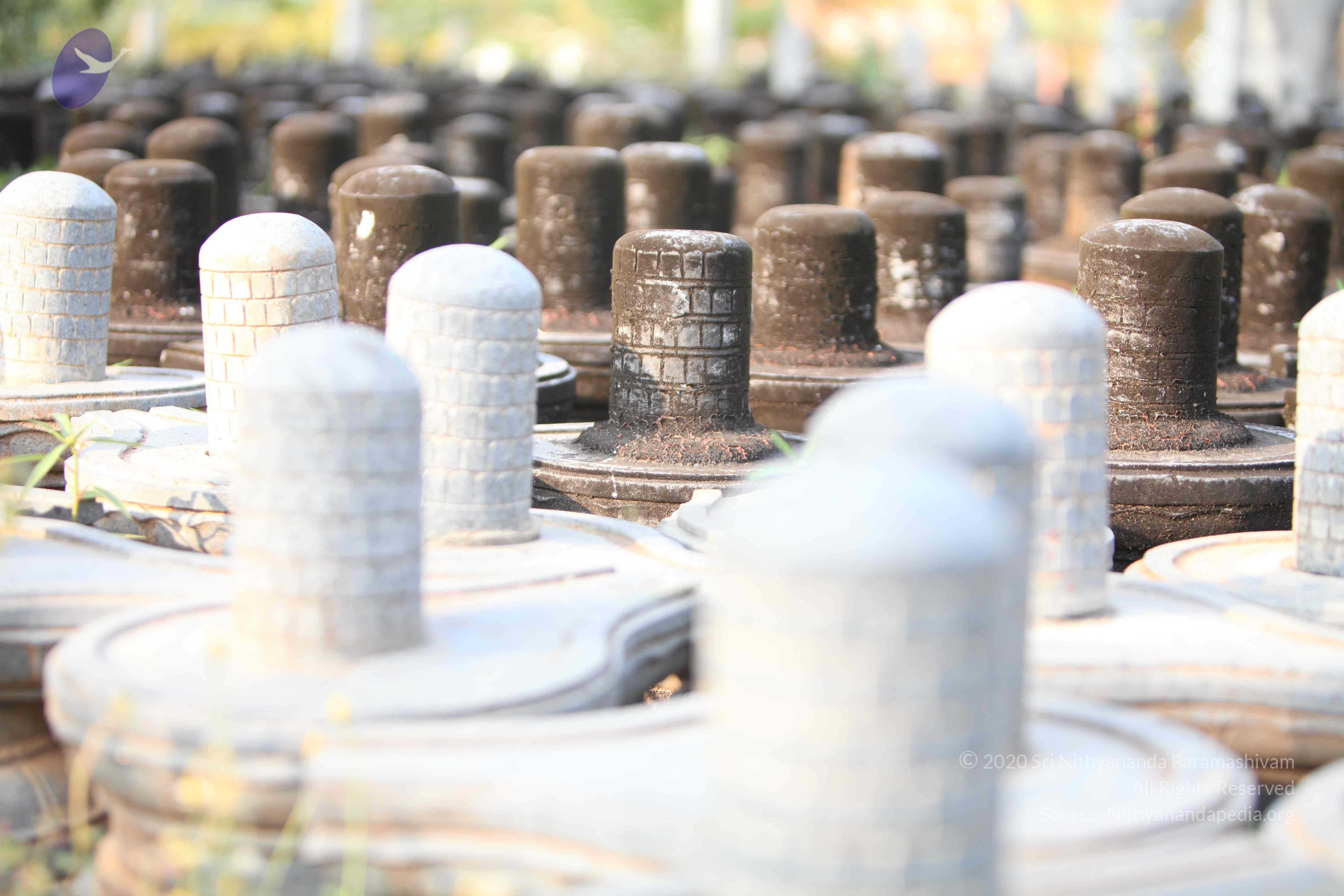 20130526_Photo_1002_1q0avVTrLtPp5lnnAVLPmOSJfqjWZ0fmp