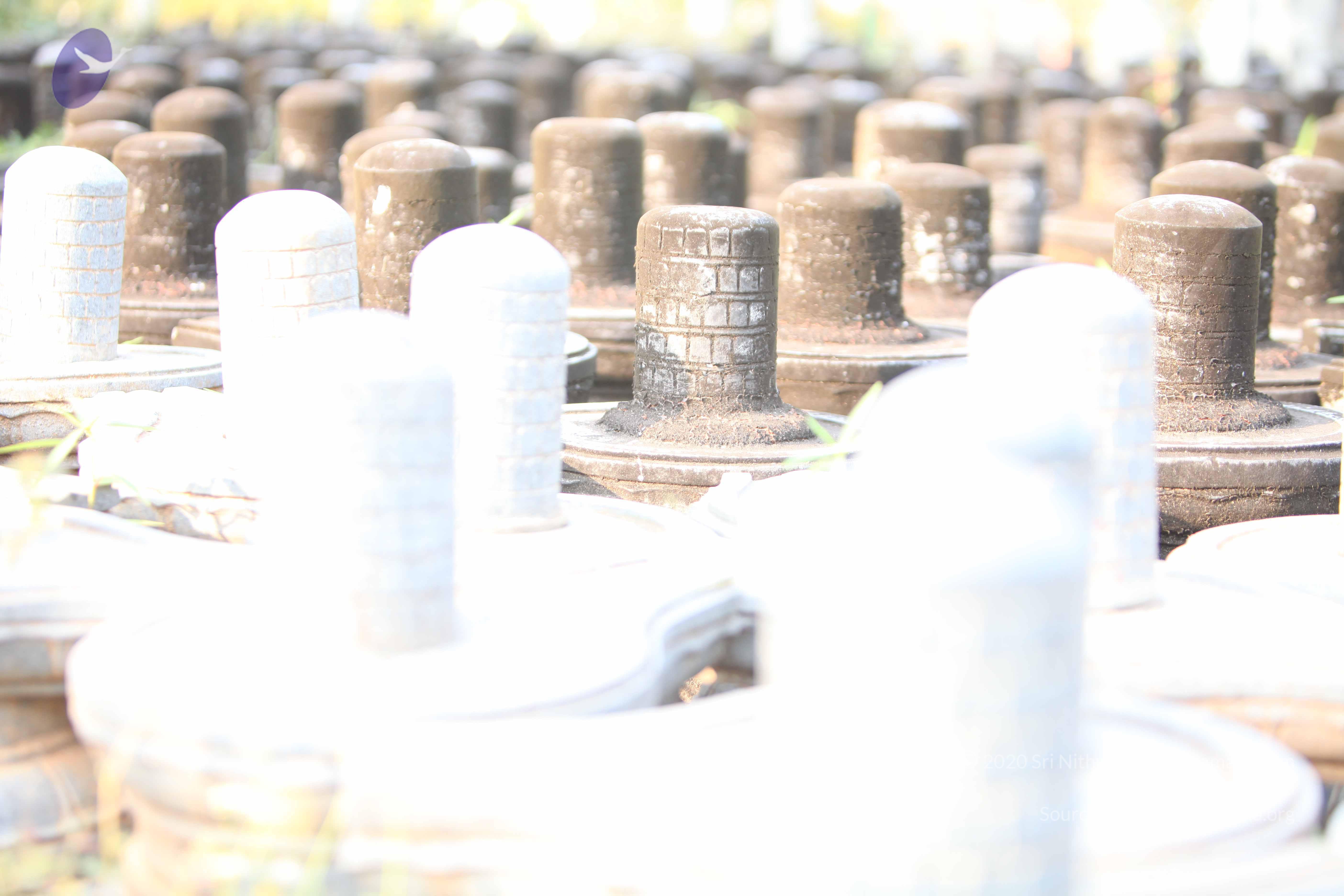 20130526_Photo_1003_1HYHqU7jPRMYJECjkSF37Sty-WM0uk_nI