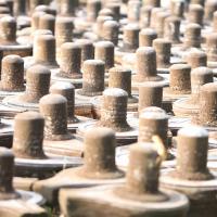 20130526_Photo_1004_1oWgjW3l82AFSPGn74giuHvwl8j2NjLcx