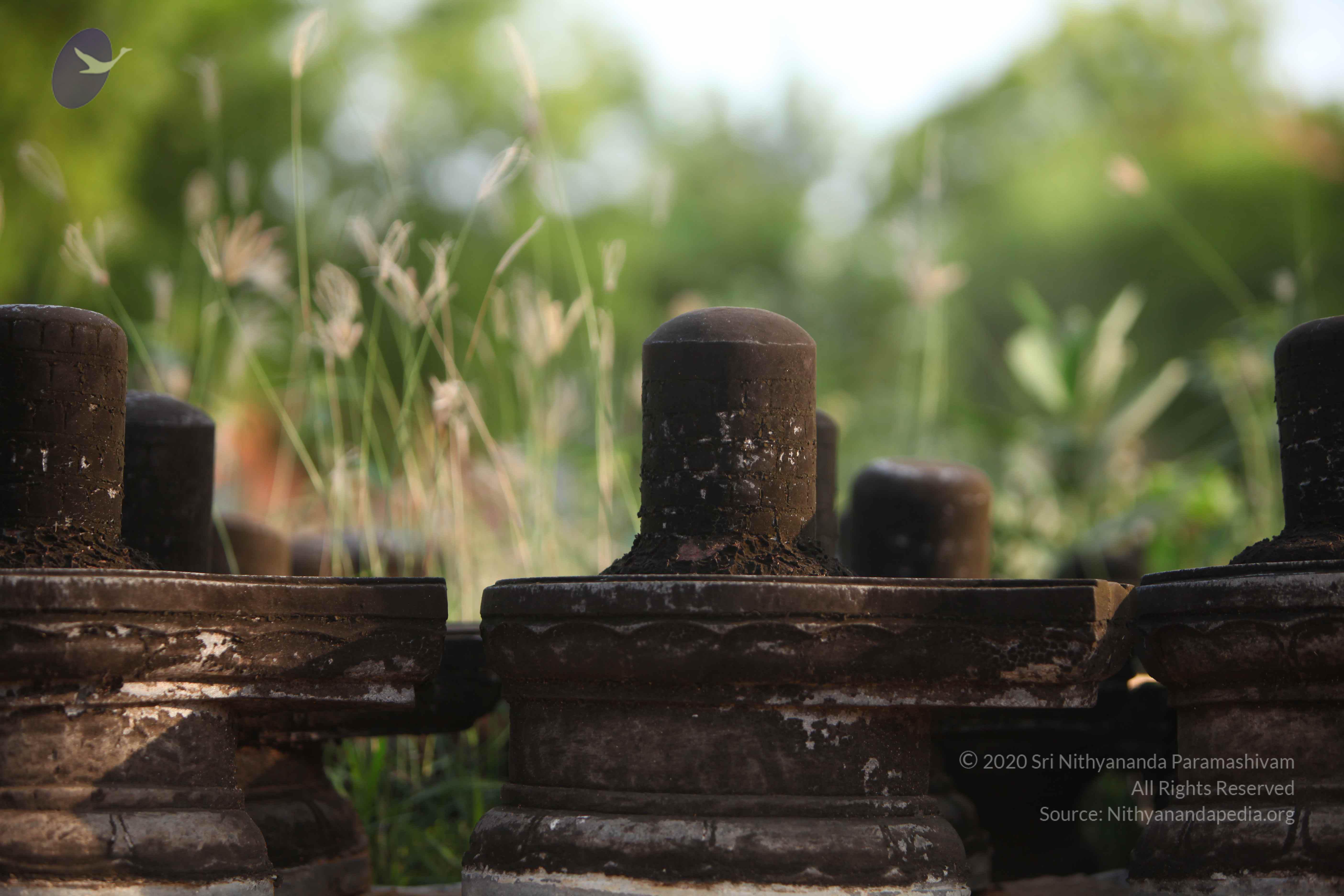 20130526_Photo_1008_1up8O32LqhZjiaGTd5x4YyfHv499_FyBv