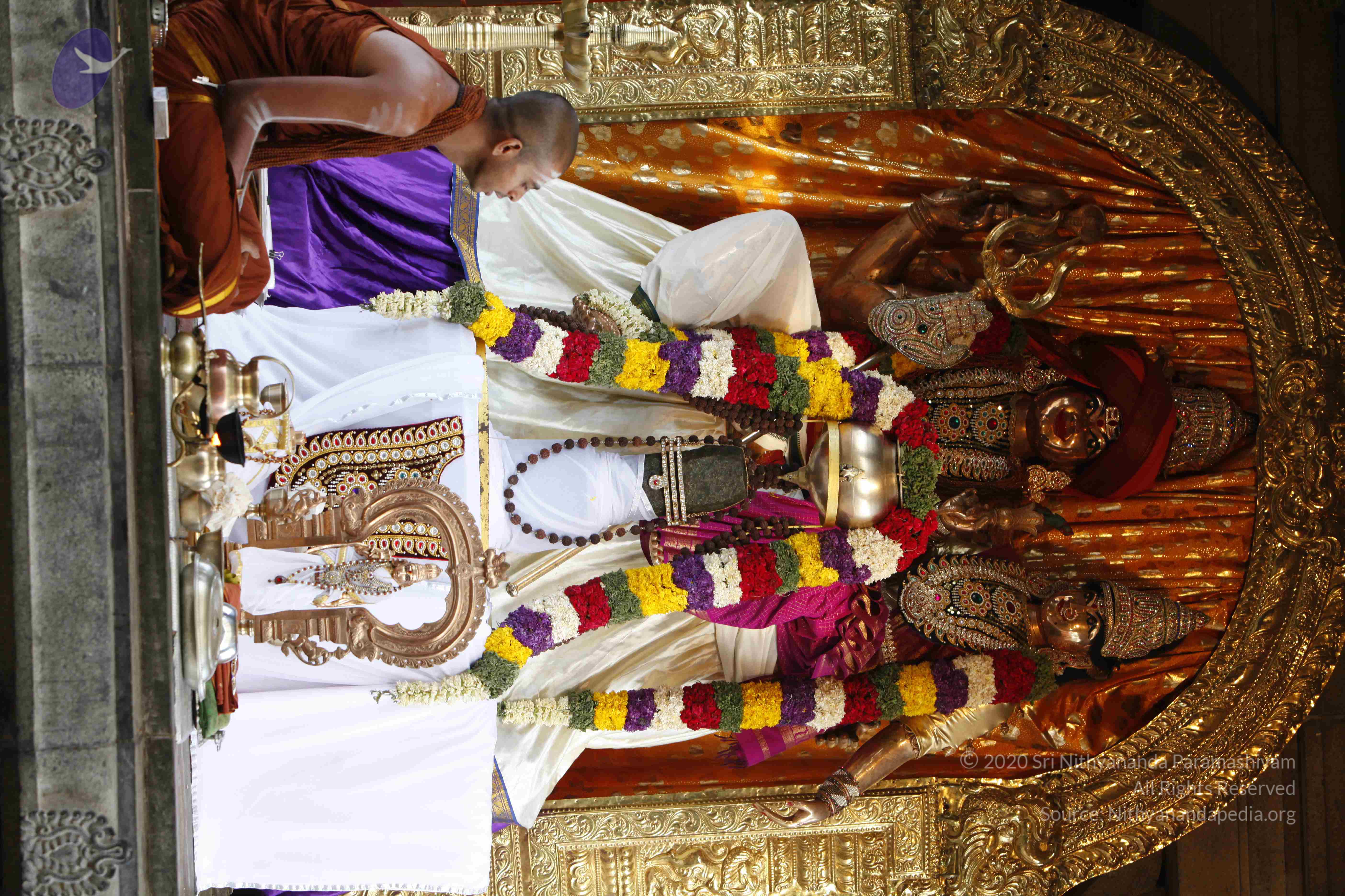 20130528_Photo_1002__MG_1496_CMP_WM