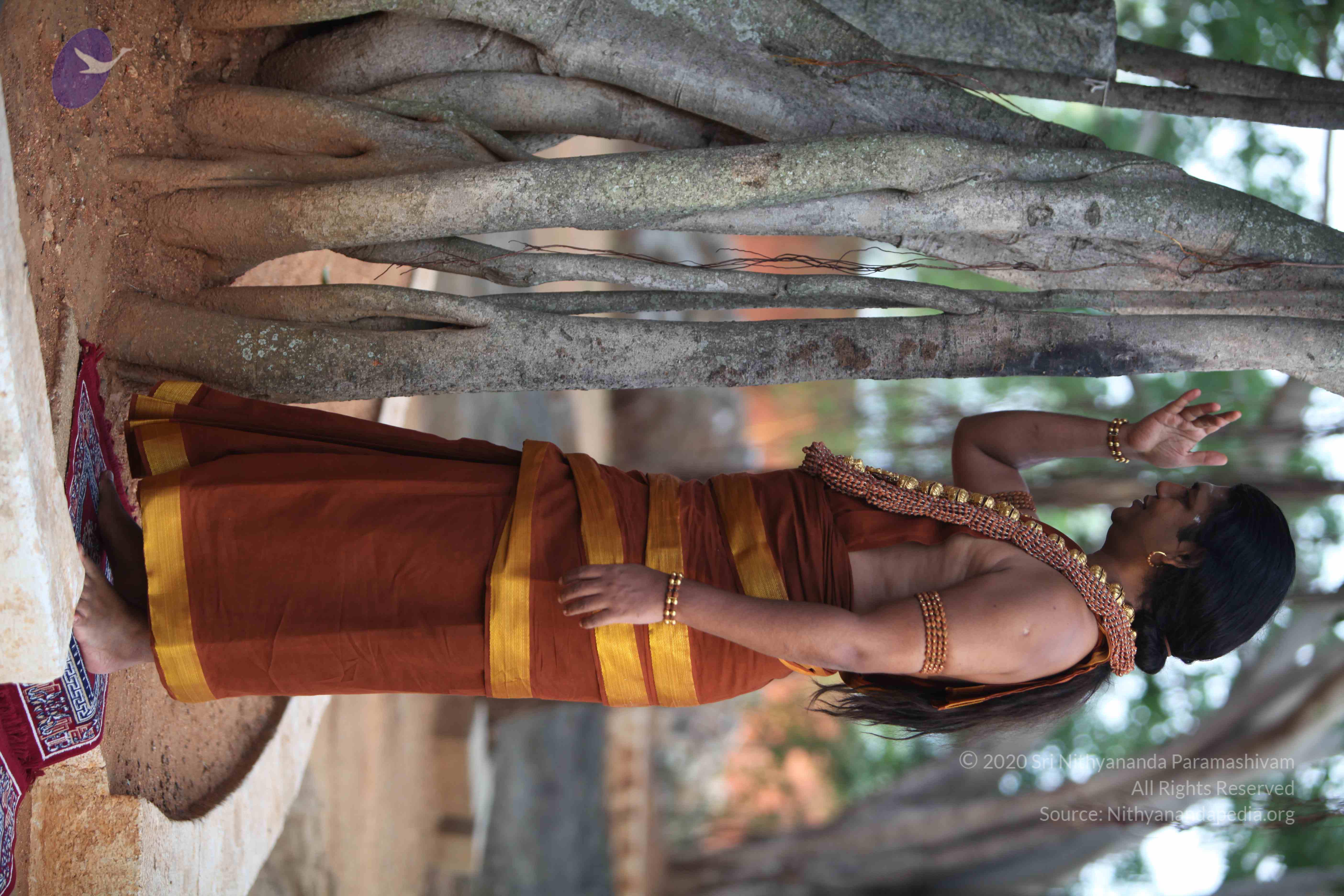 20130528_Photo_1003_IMG_1475_CMP_WM