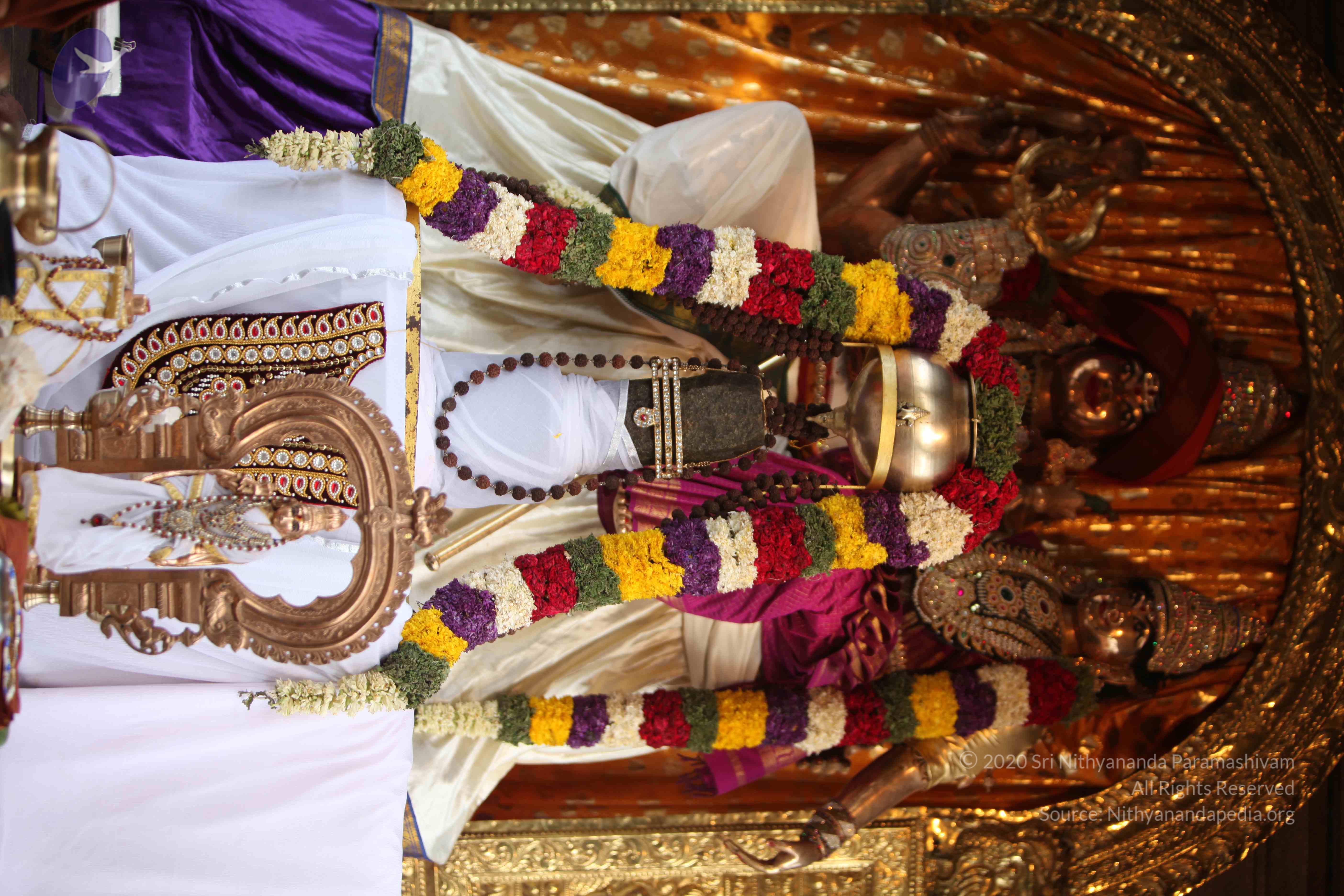 20130528_Photo_1005_IMG_1487_CMP_WM