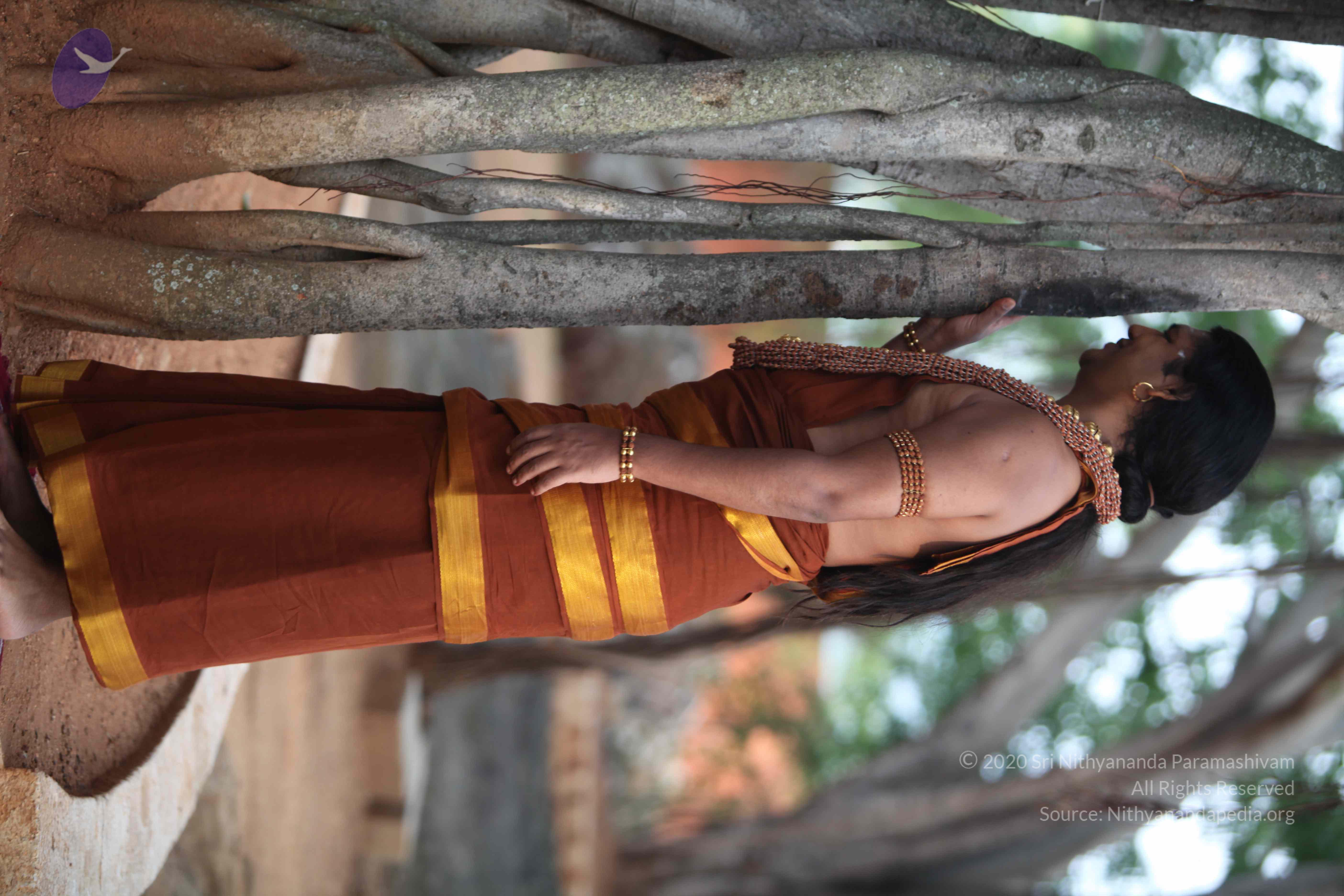 20130528_Photo_1008_IMG_1474_CMP_WM