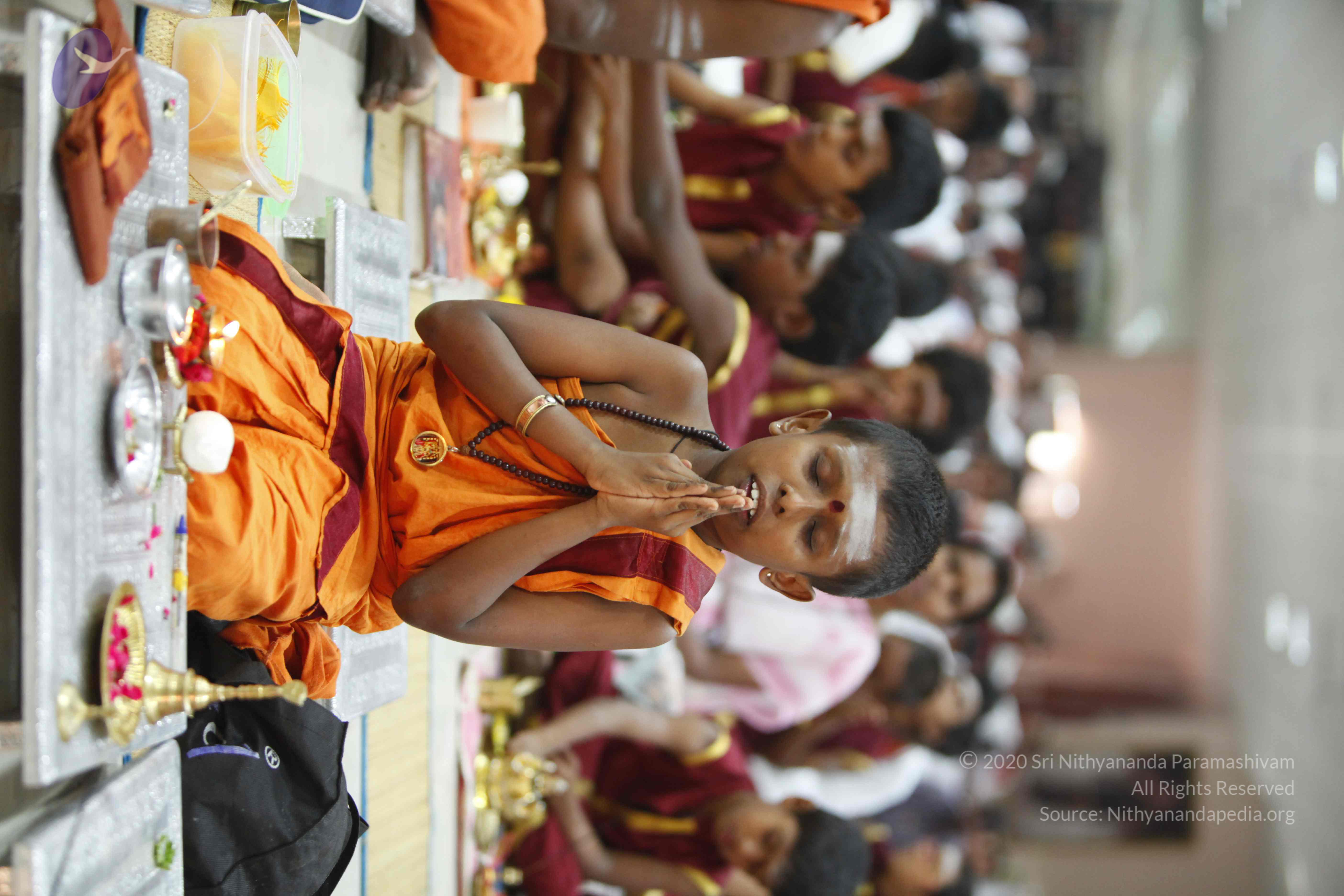 20130528_Photo_1008__MG_1517_CMP_WM