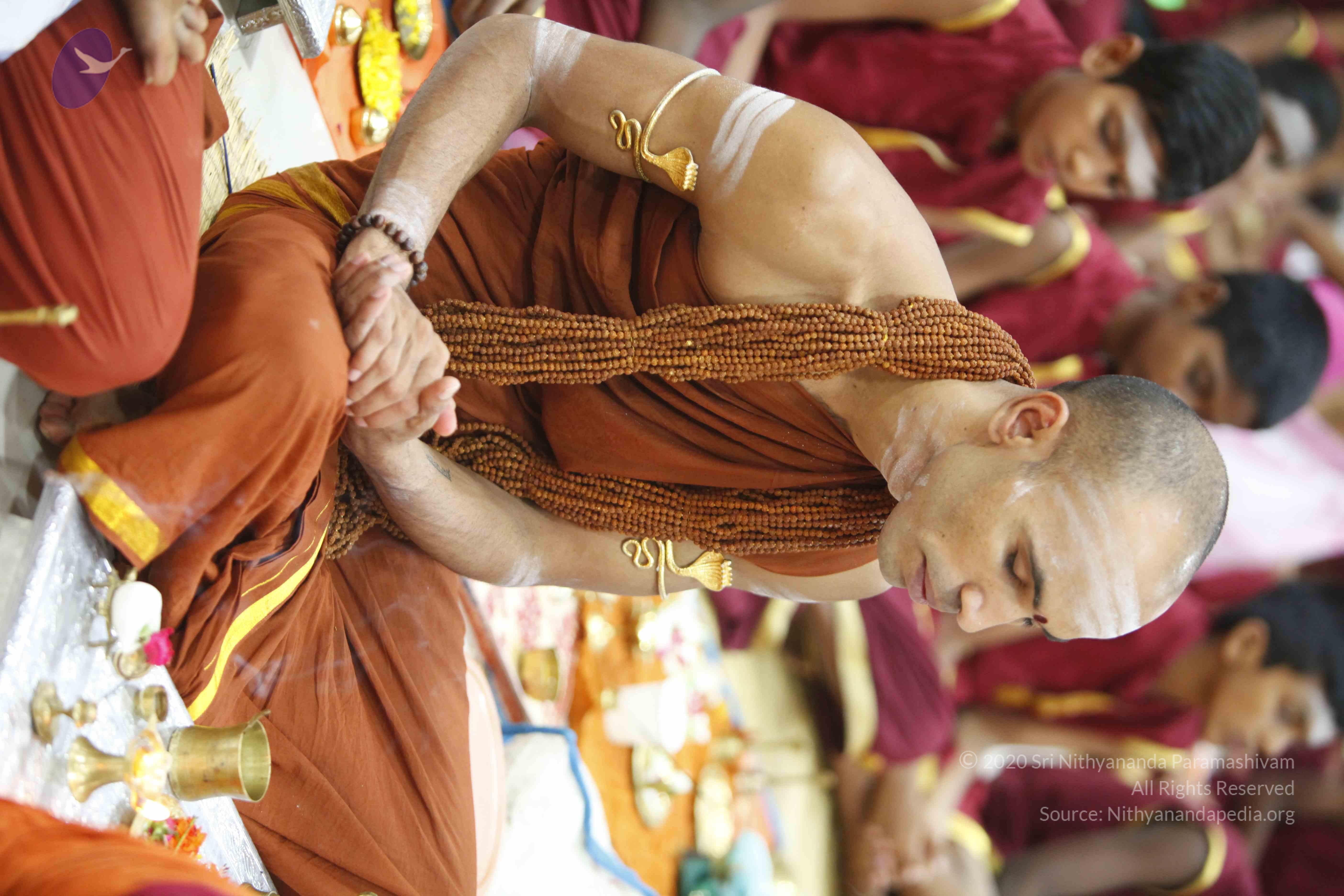 20130528_Photo_1010__MG_1505_CMP_WM