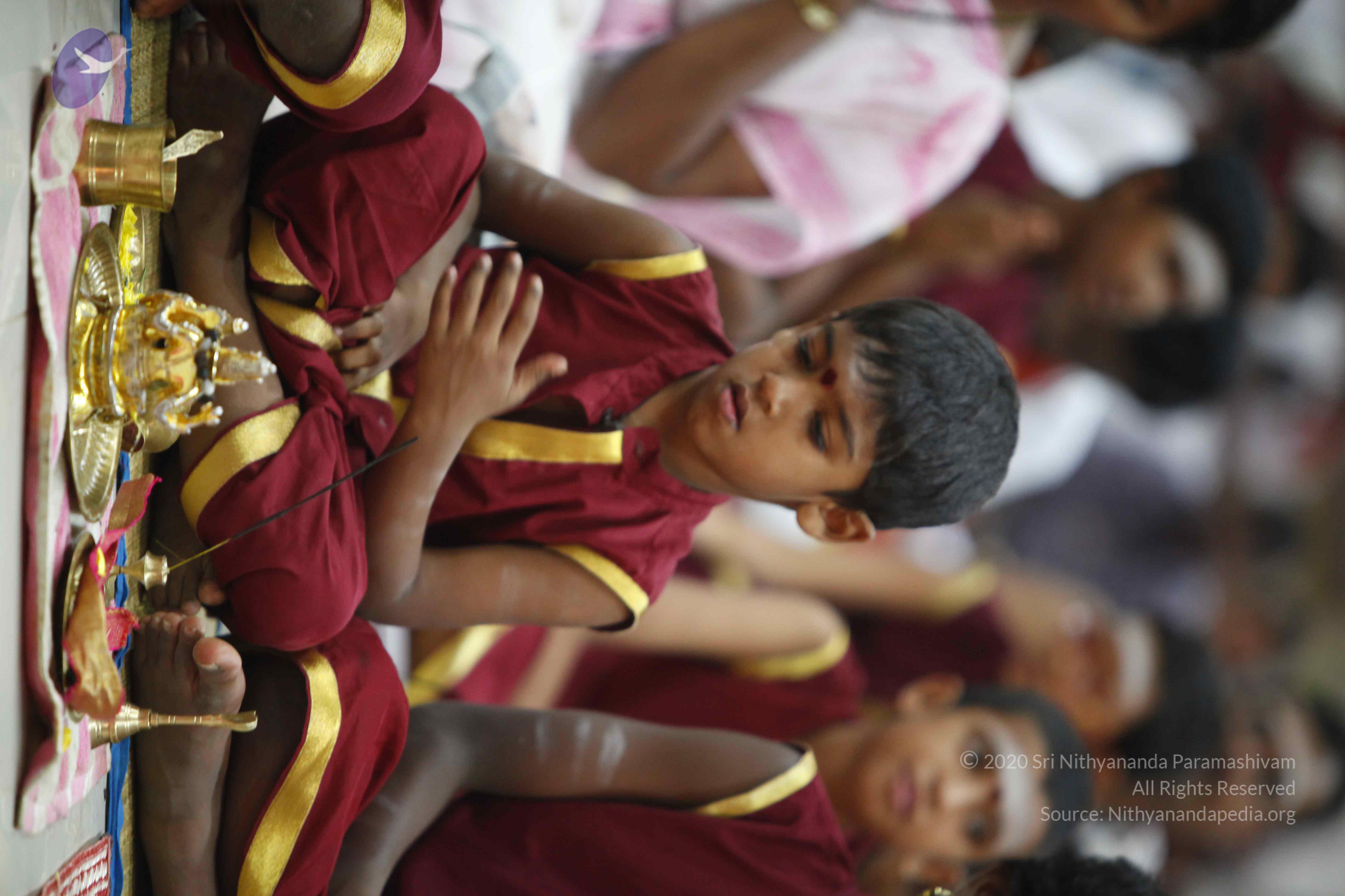 20130528_Photo_1012__MG_1519_CMP_WM