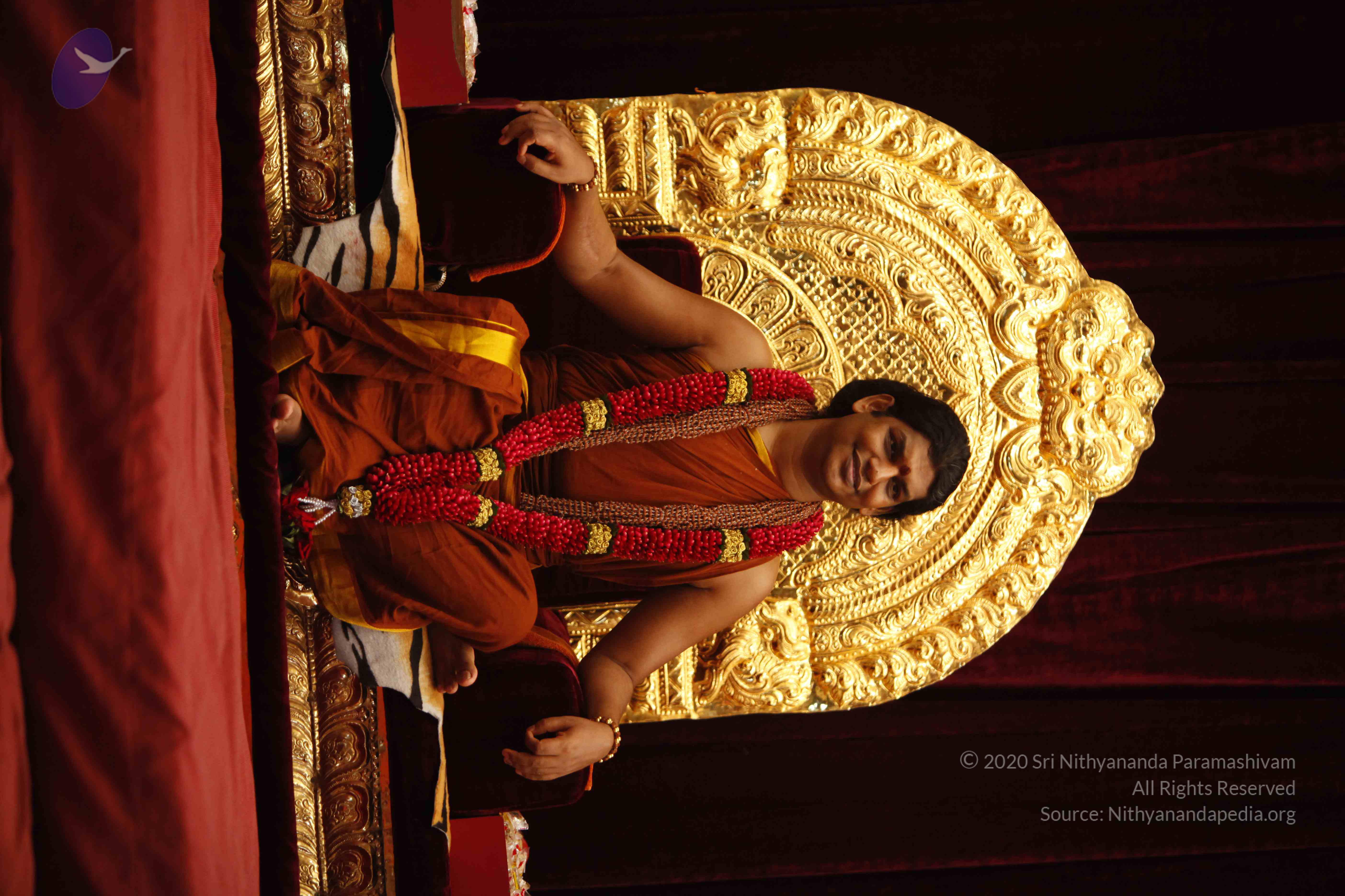 20130528_Photo_1012__MG_1996_CMP_WM