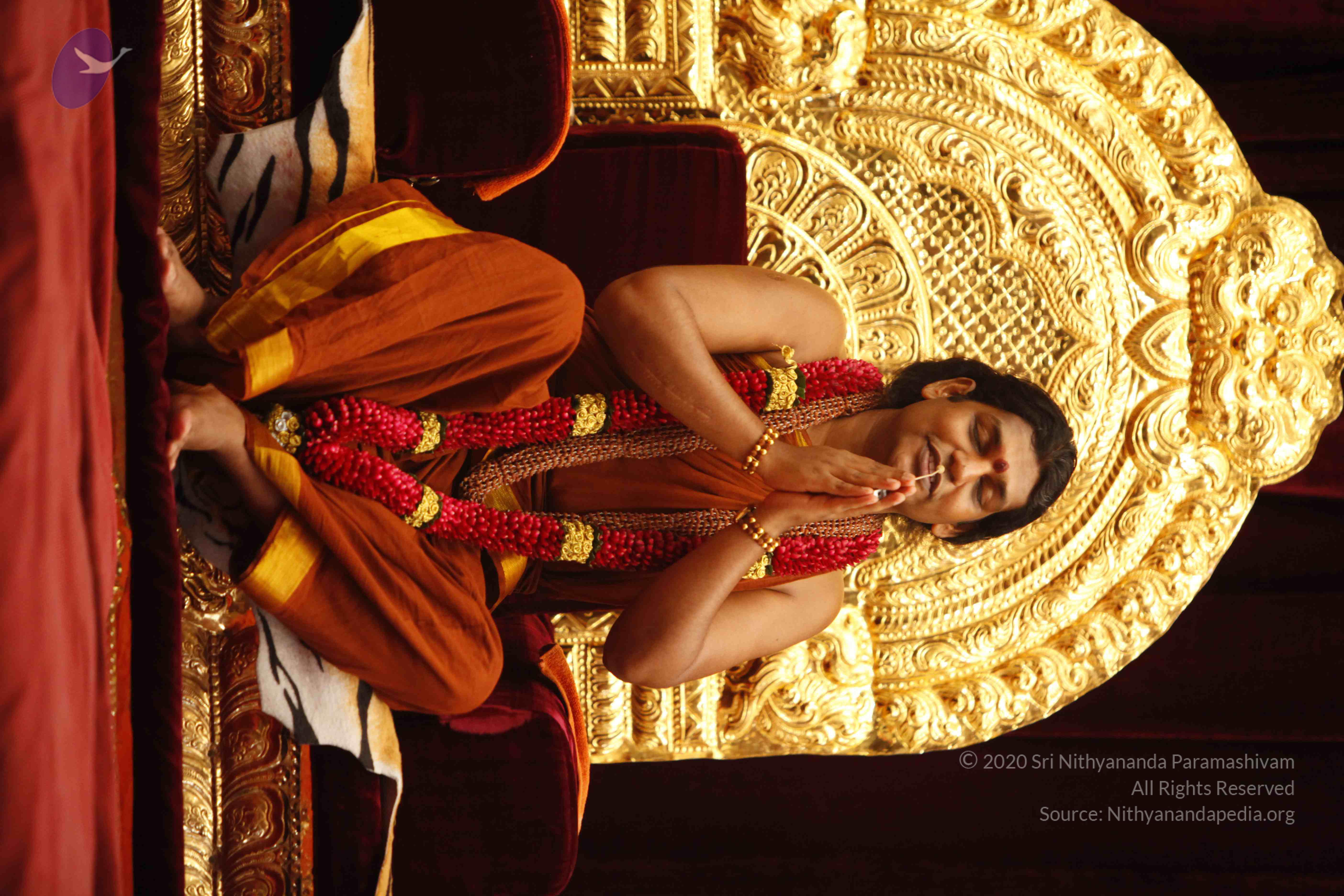 20130528_Photo_1015__MG_2227_CMP_WM