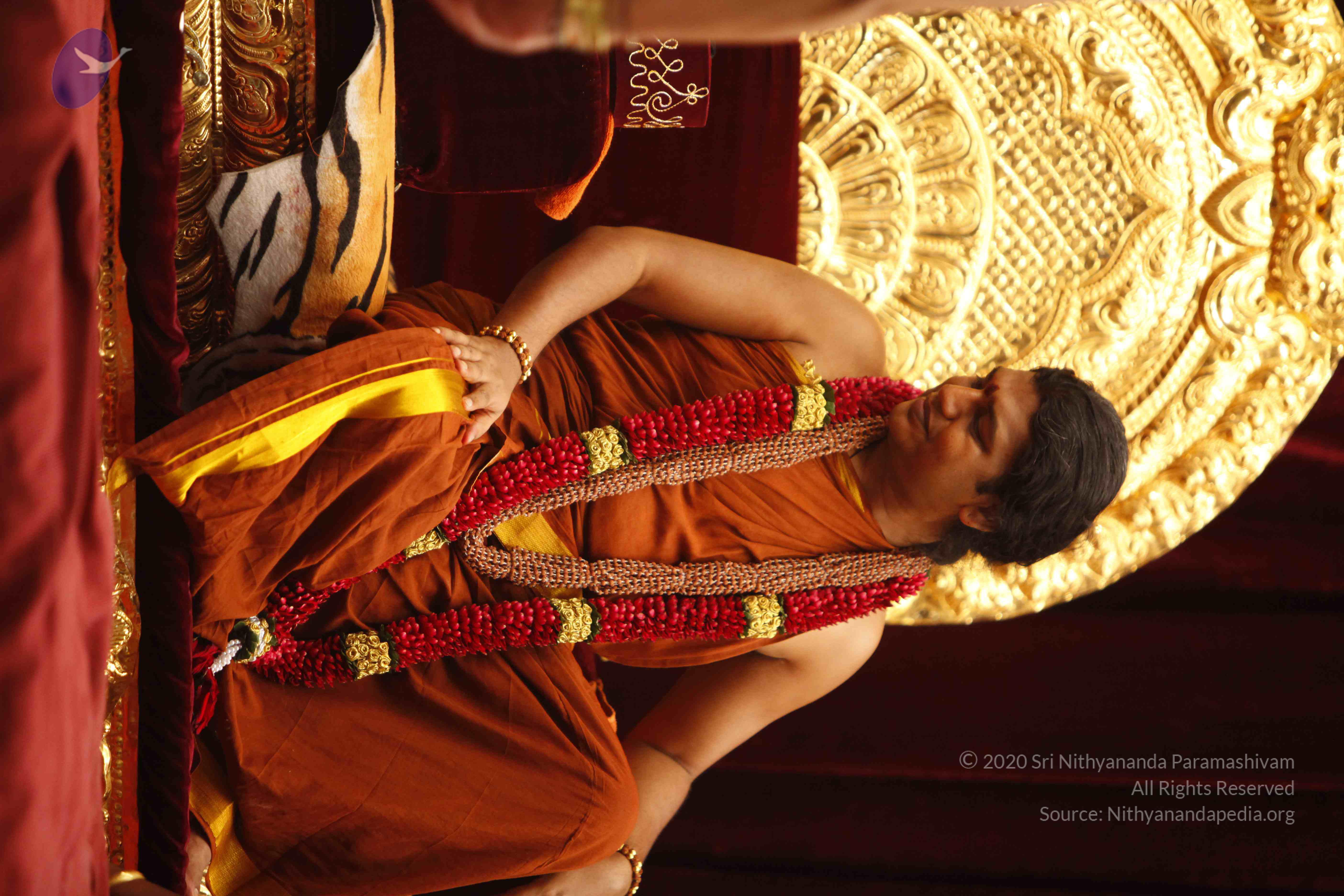 20130528_Photo_1016__MG_2210_CMP_WM