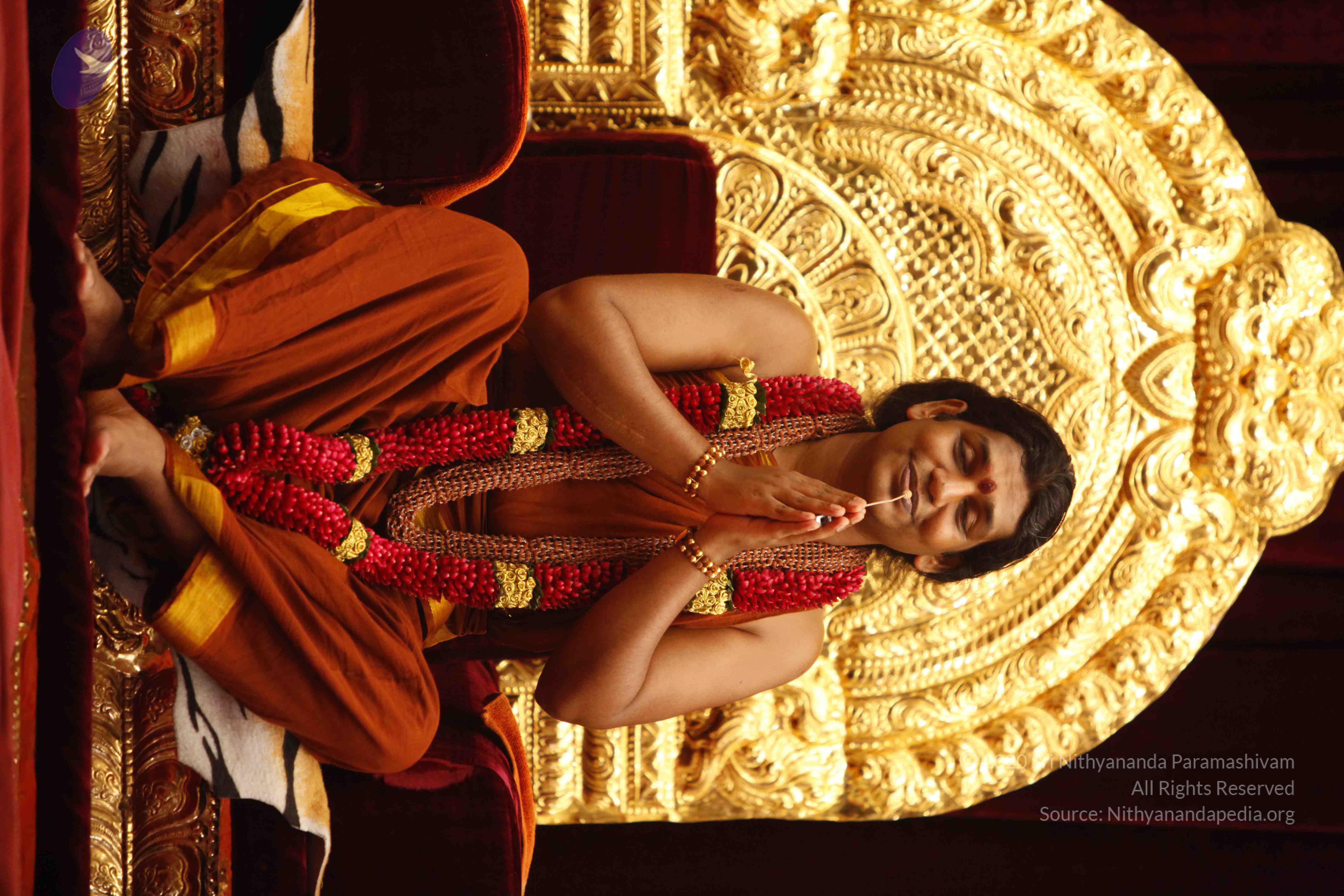 20130528_Photo_1023__MG_2231_CMP_WM