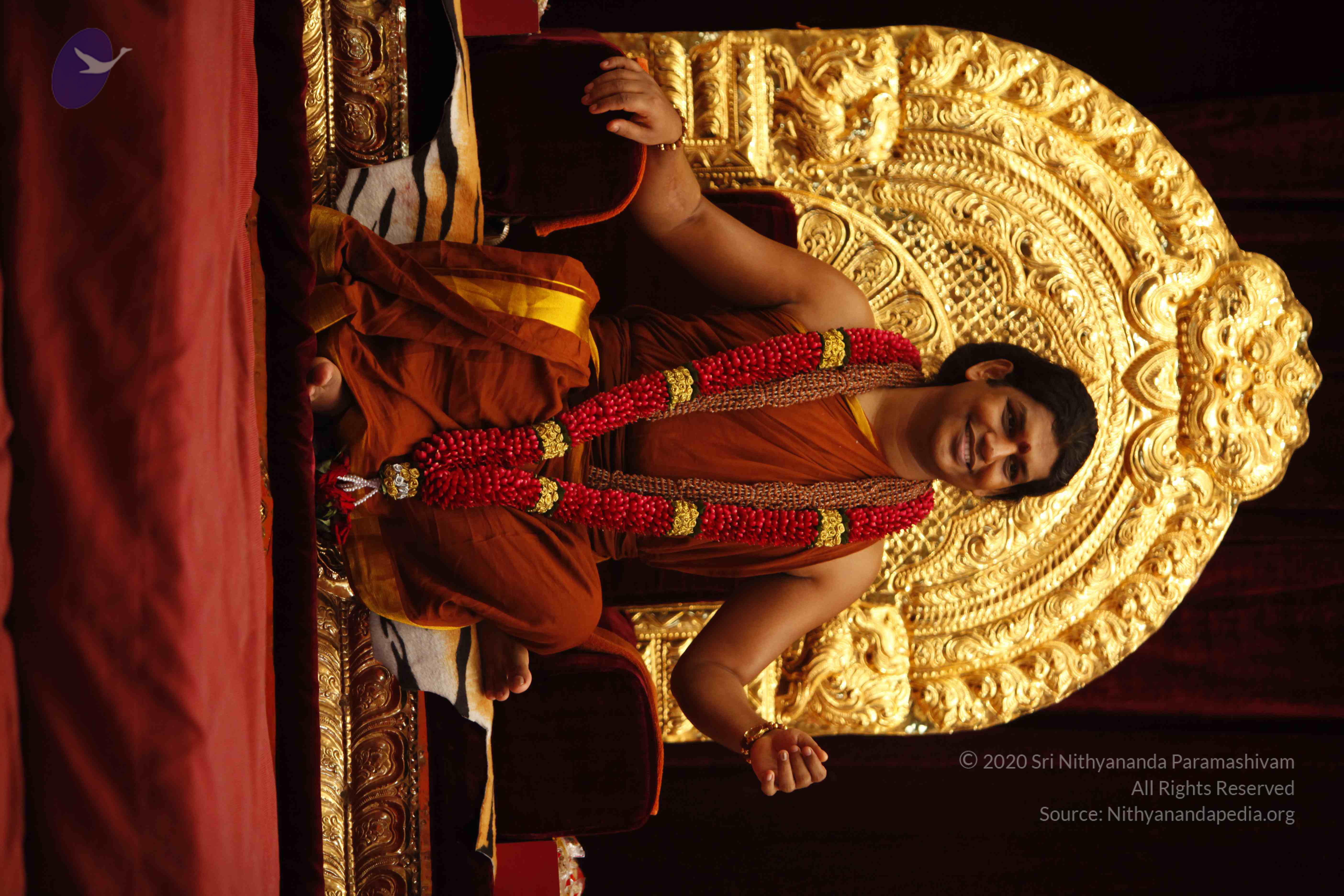 20130528_Photo_1027__MG_1999_CMP_WM