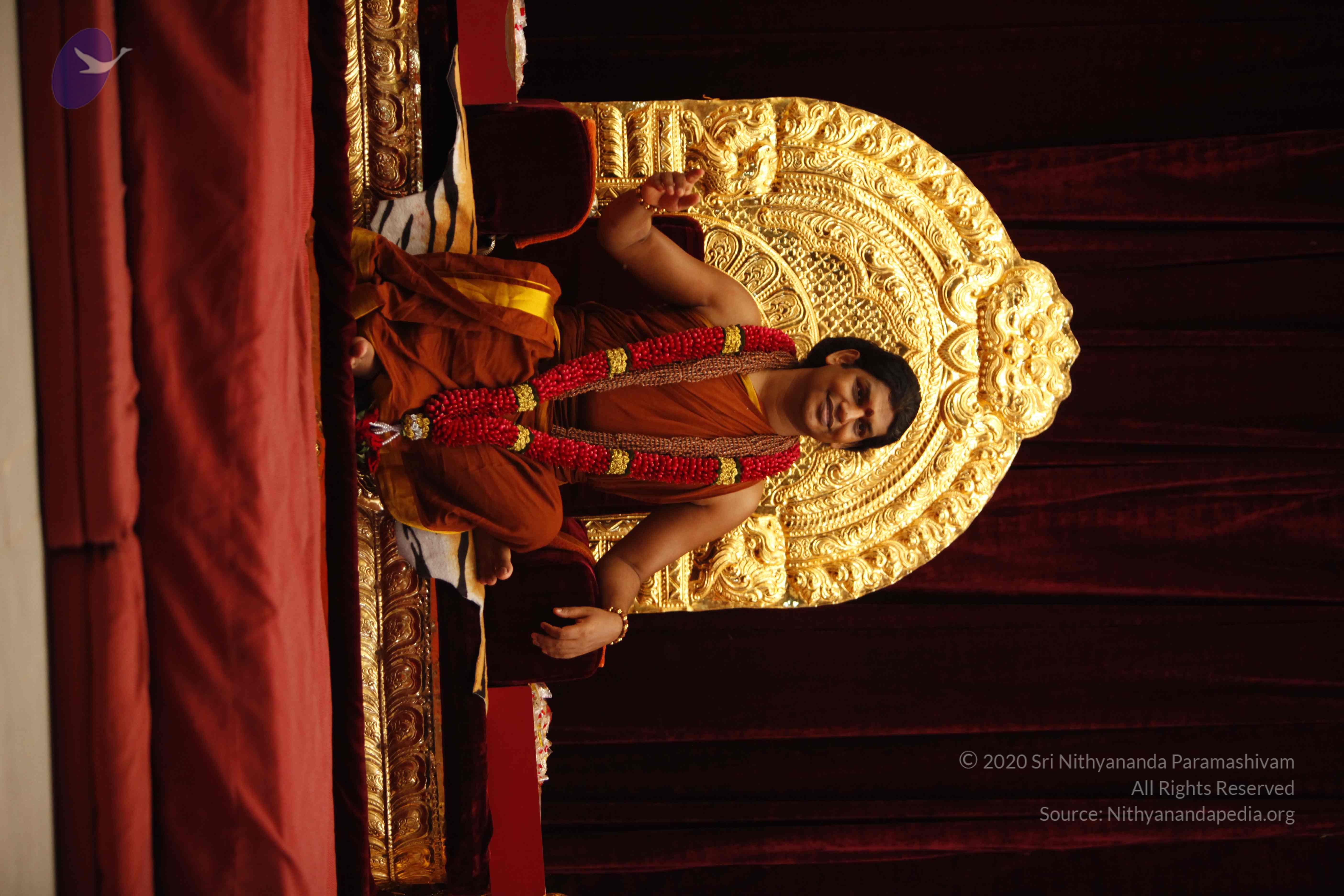 20130528_Photo_1031__MG_1997_CMP_WM