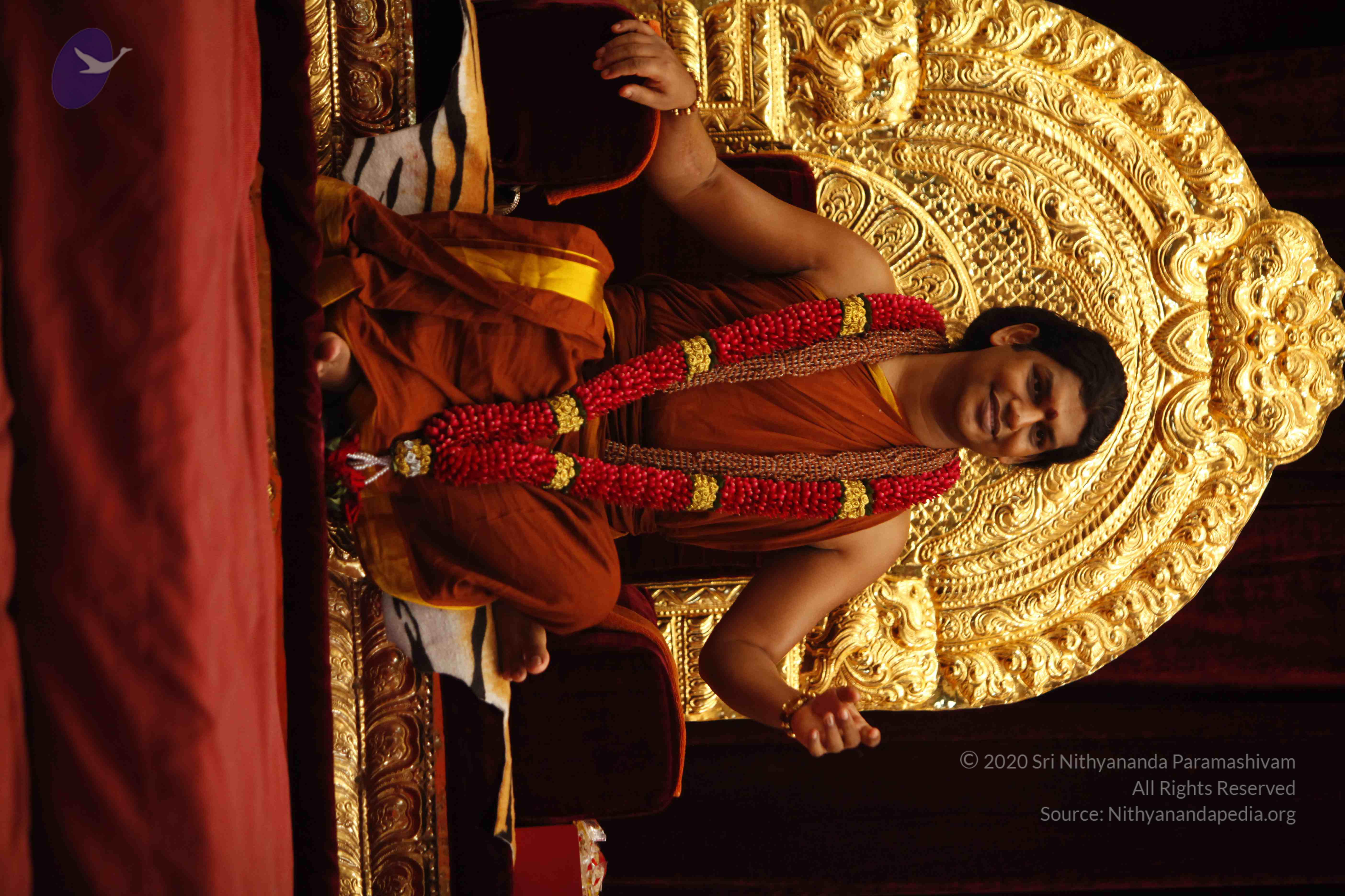 20130528_Photo_1049__MG_1998_CMP_WM