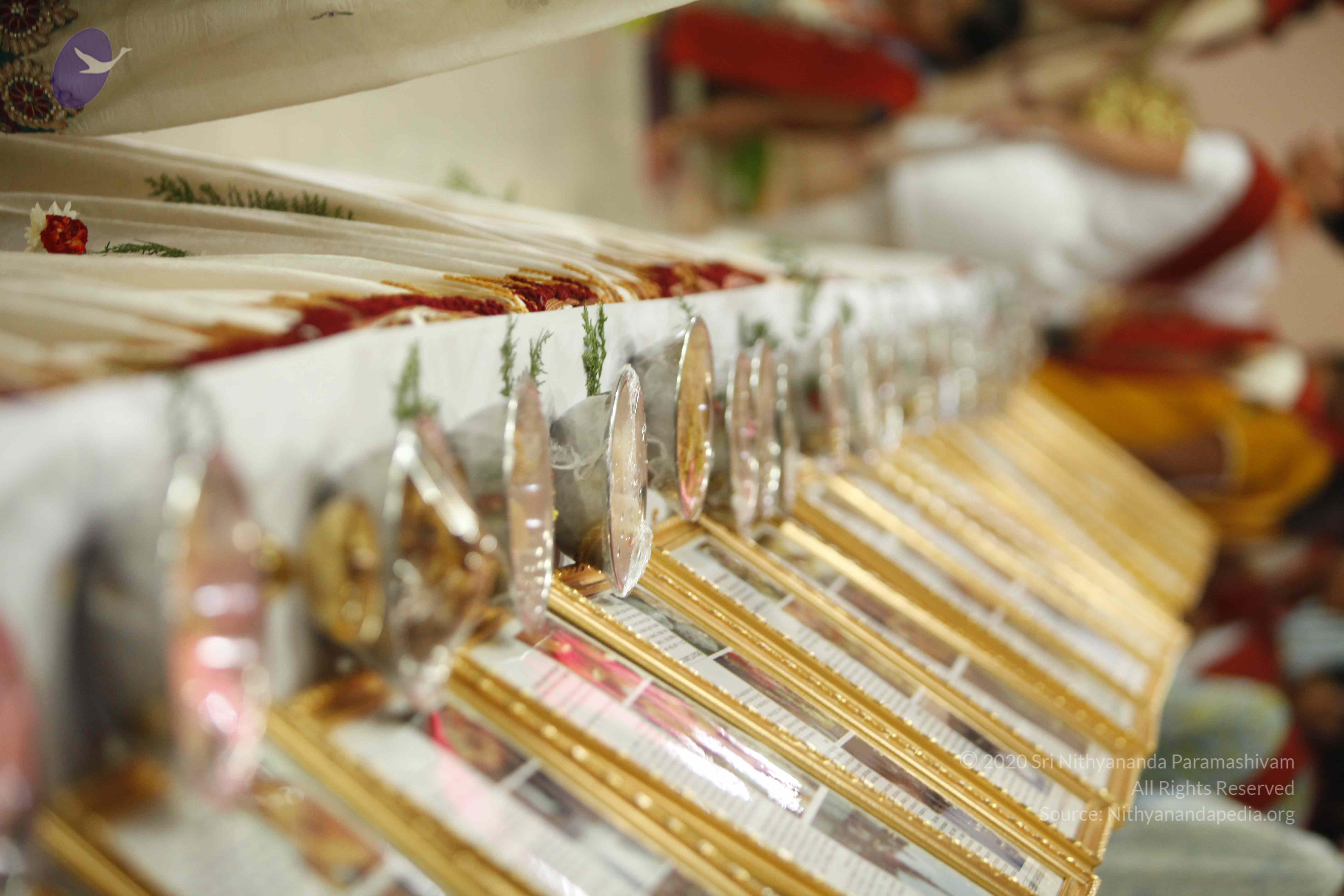 20130528_Photo_1002__MG_2236_CMP_WM