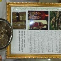 20130528_Photo_1007_IMG_1818_CMP_WM