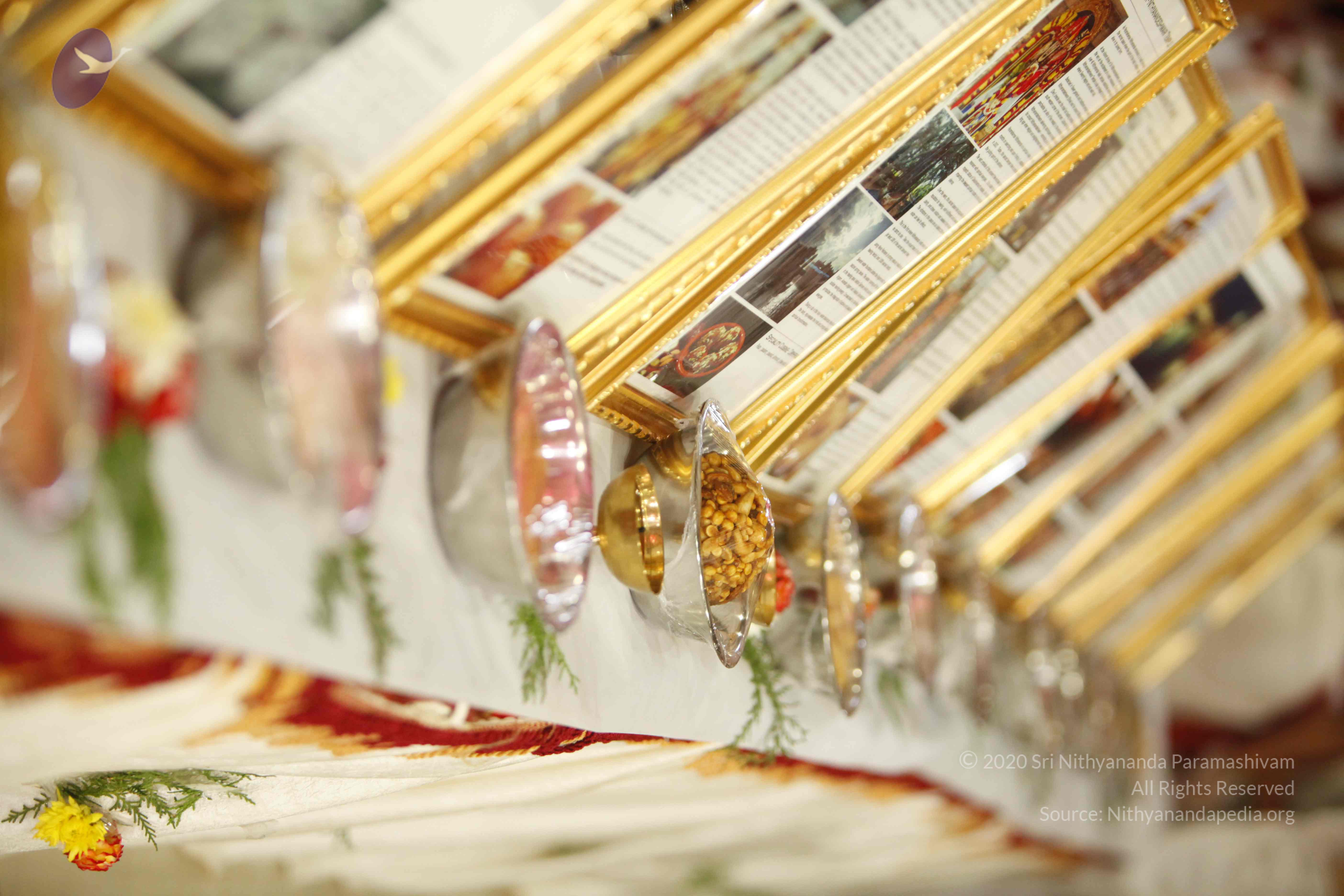 20130528_Photo_1012__MG_2244_CMP_WM