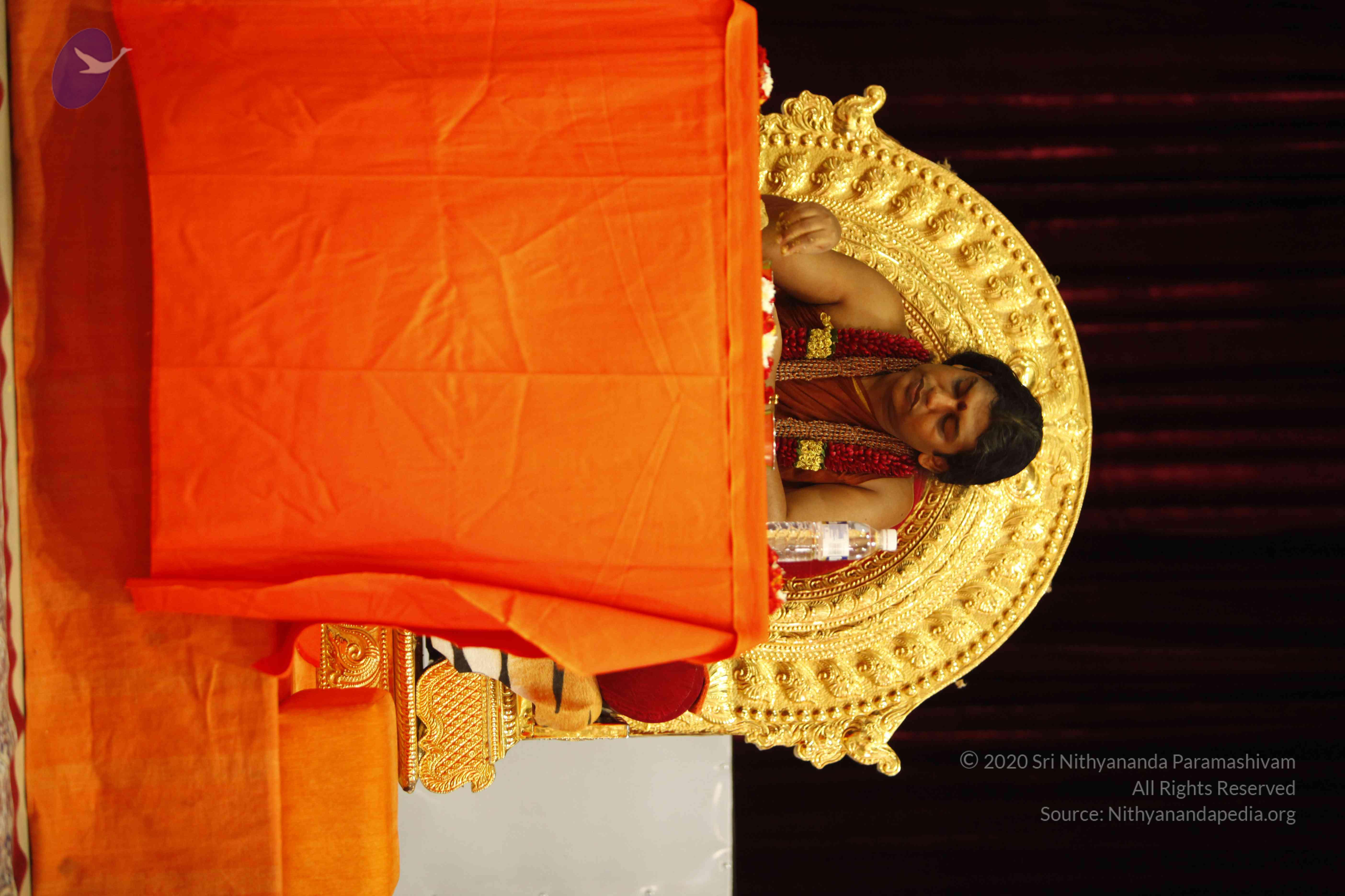 20130528_Photo_1016__MG_2246_CMP_WM