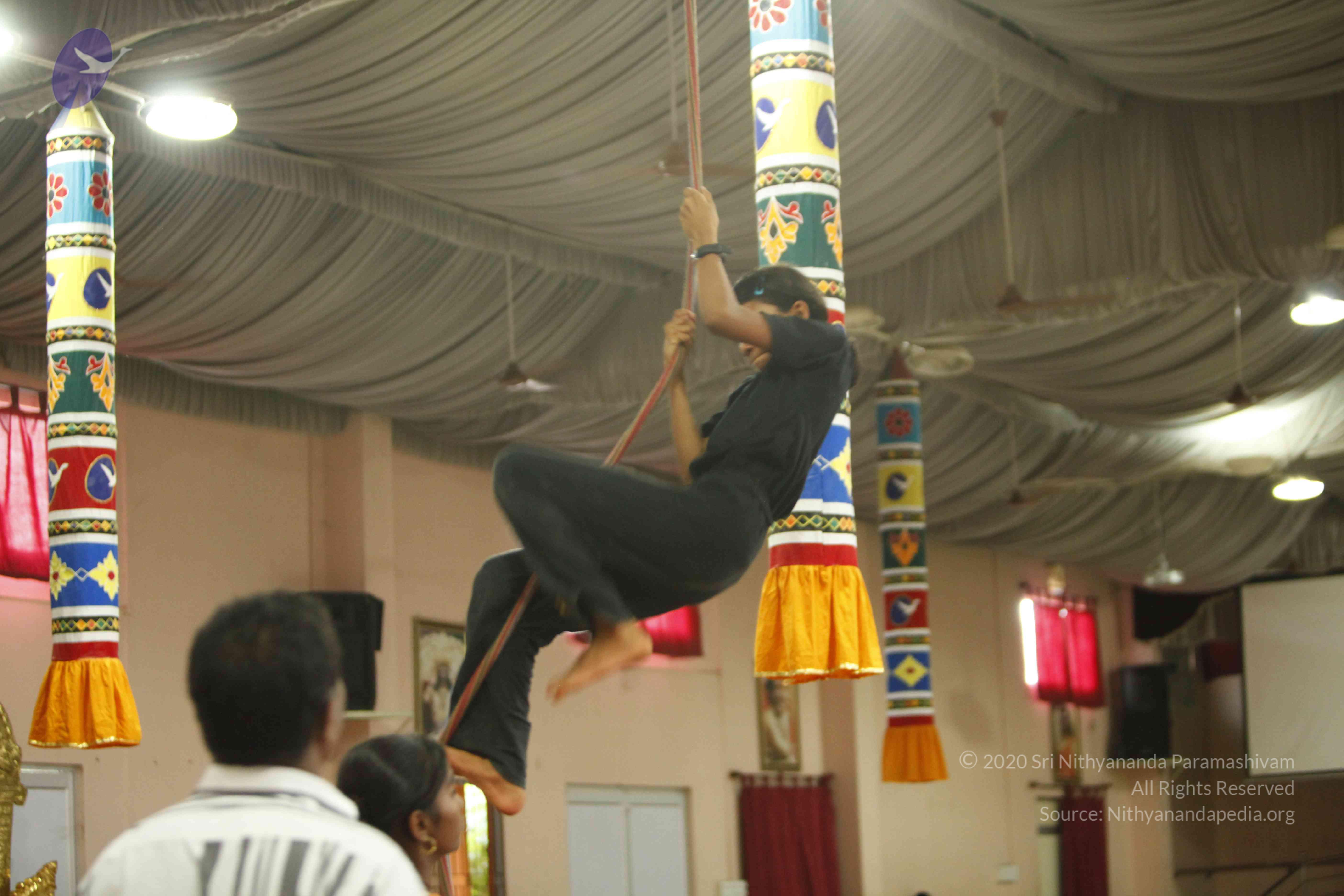 20130528_Photo_1004__MG_2401_CMP_WM