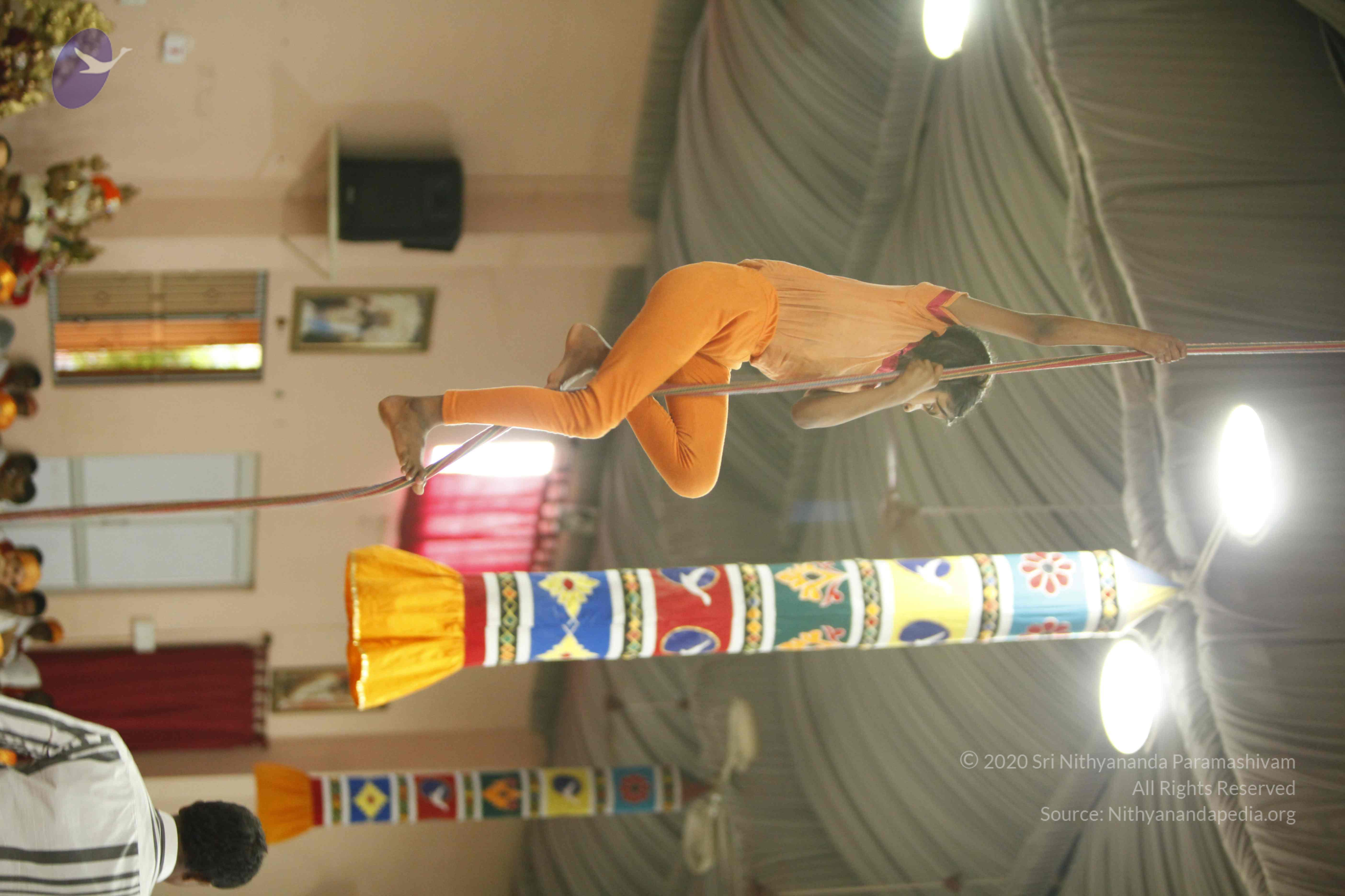 20130528_Photo_1034__MG_2394_CMP_WM