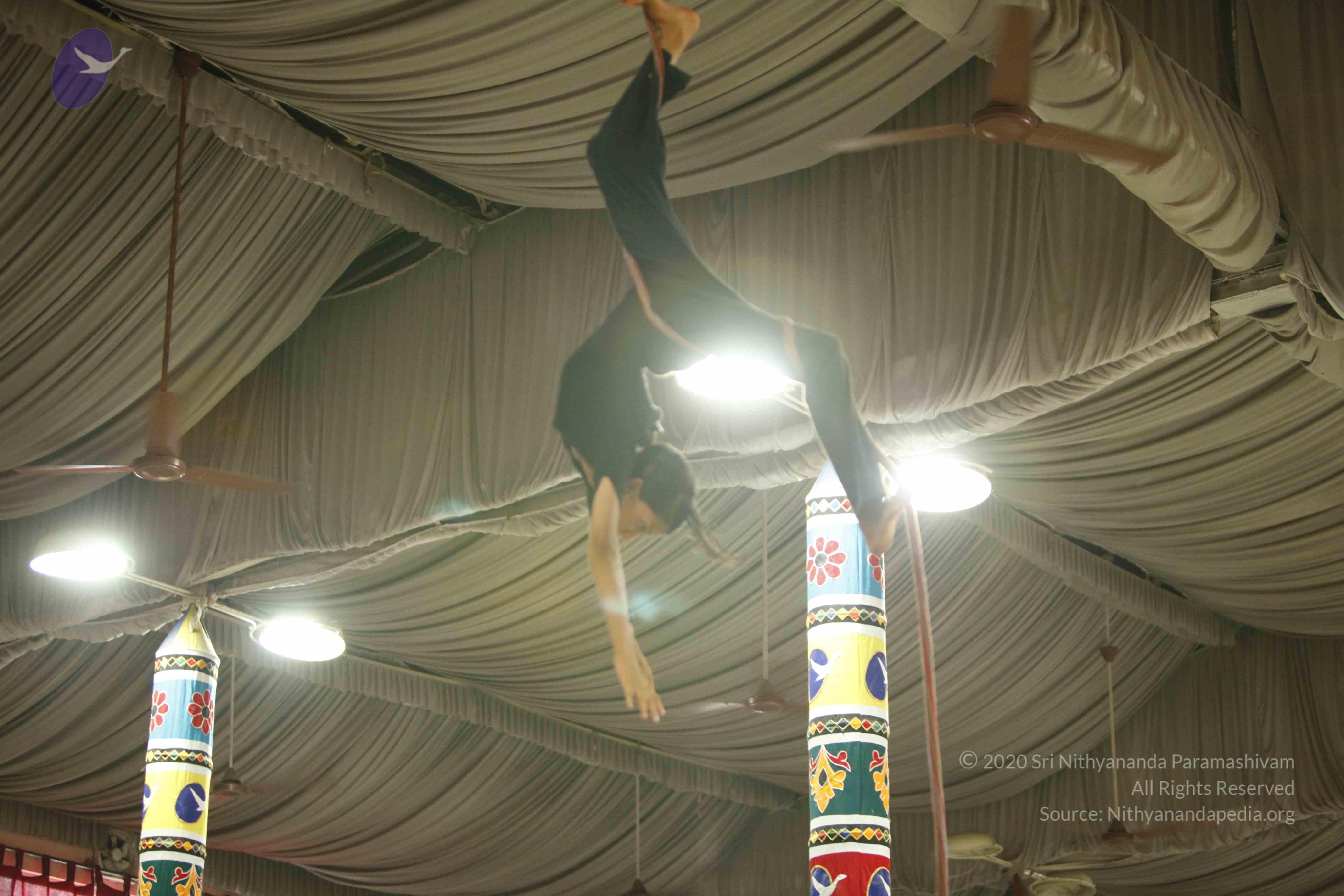 20130528_Photo_1040__MG_2399_CMP_WM